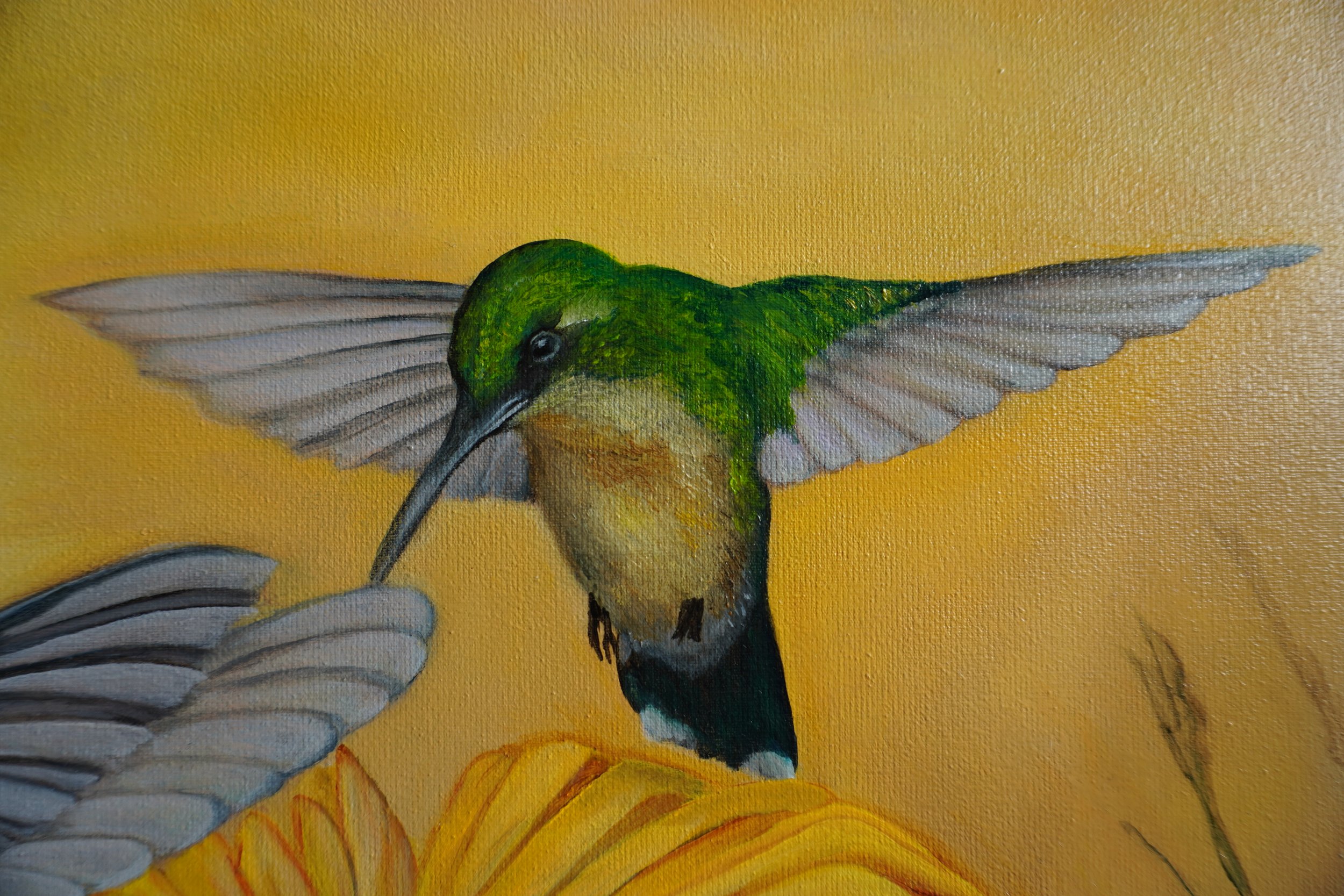 Kunstmatige afbeelding van een kolibrie met groene en beige kleuren en blauwe accenten, zwevend boven een gele bloem, tegen een gele achtergrond.