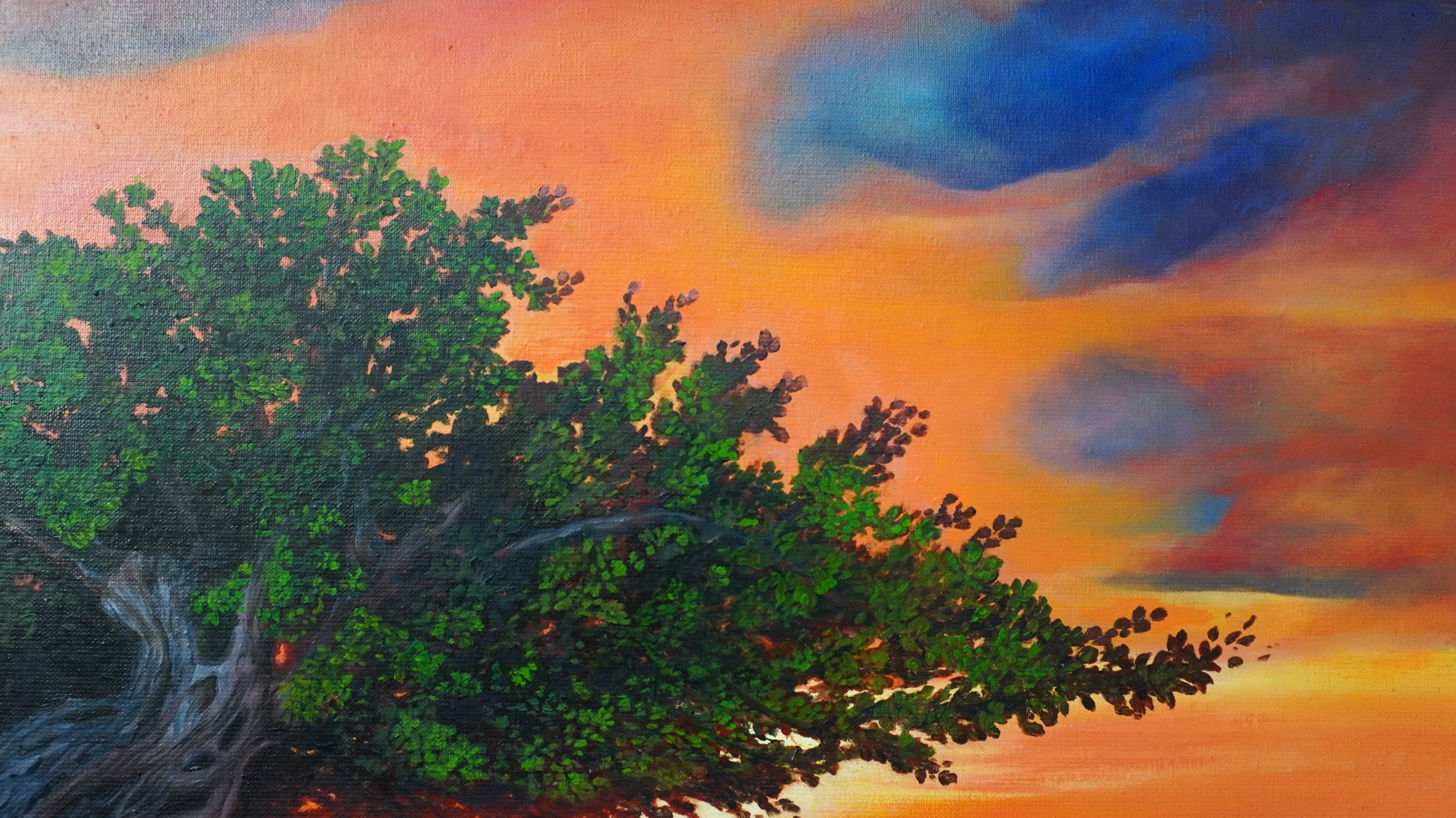 Blissful Fofoti Tree at Sunset - Edith Perez Art