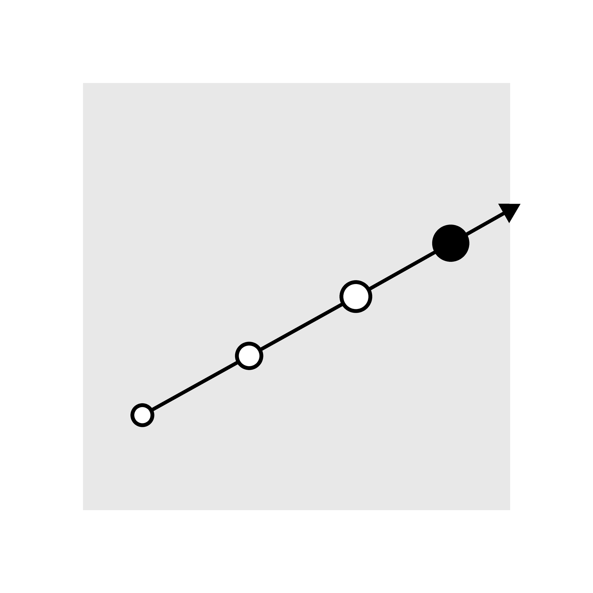 Growth Partner