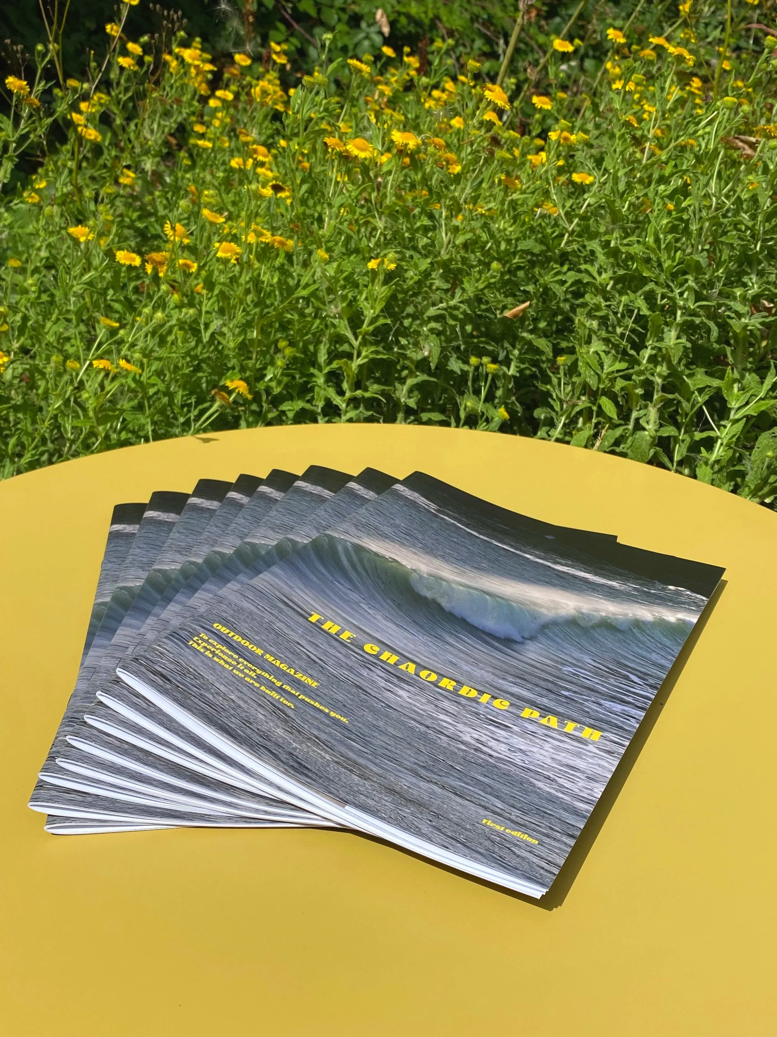 The Chaordic Path Magazine - First Edition