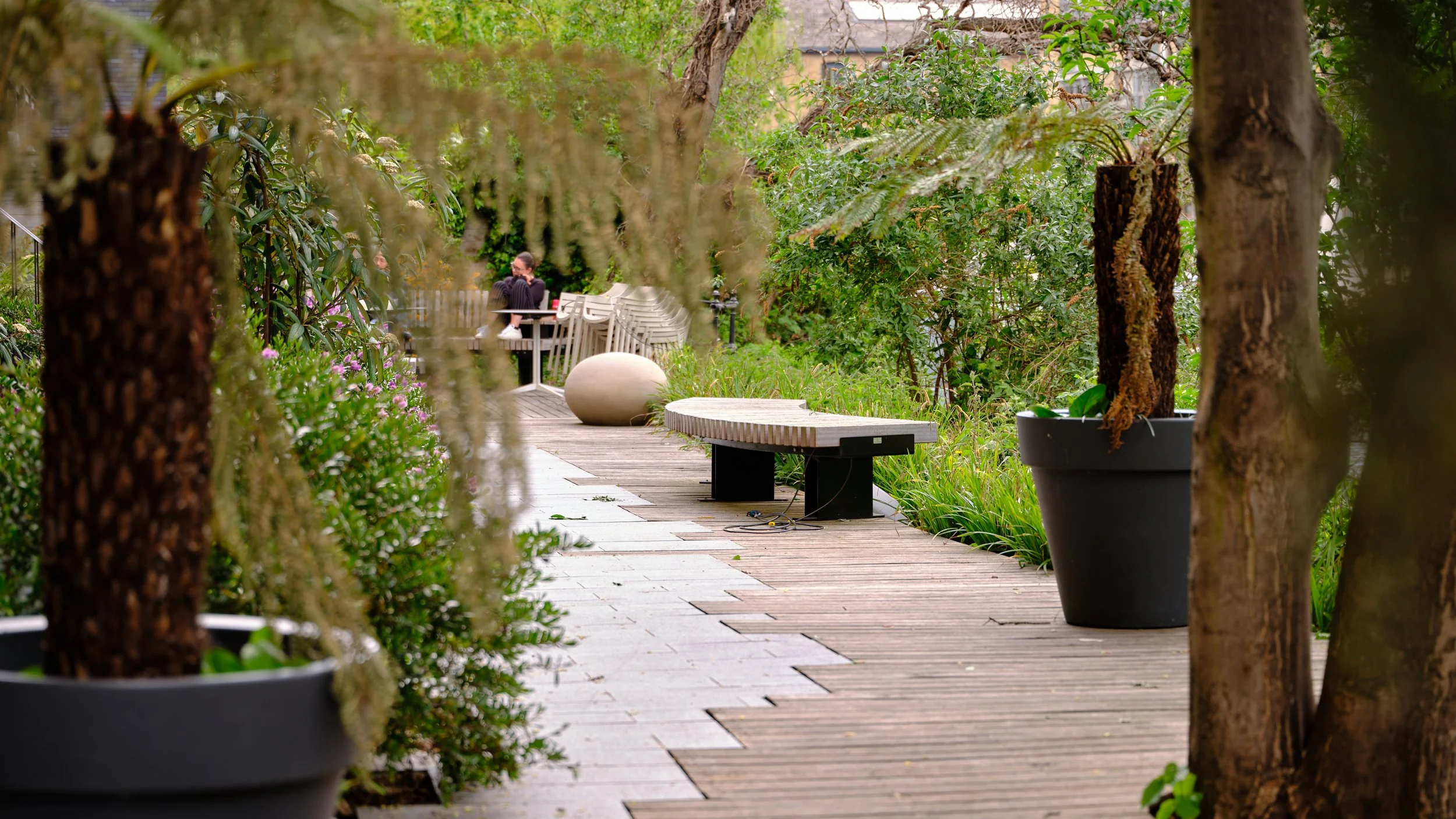 A tranquil garden scene with trees, potted plants, and a wooden pathway. There are modern benches along the path and a woman seated in the distance, surrounded by lush greenery.