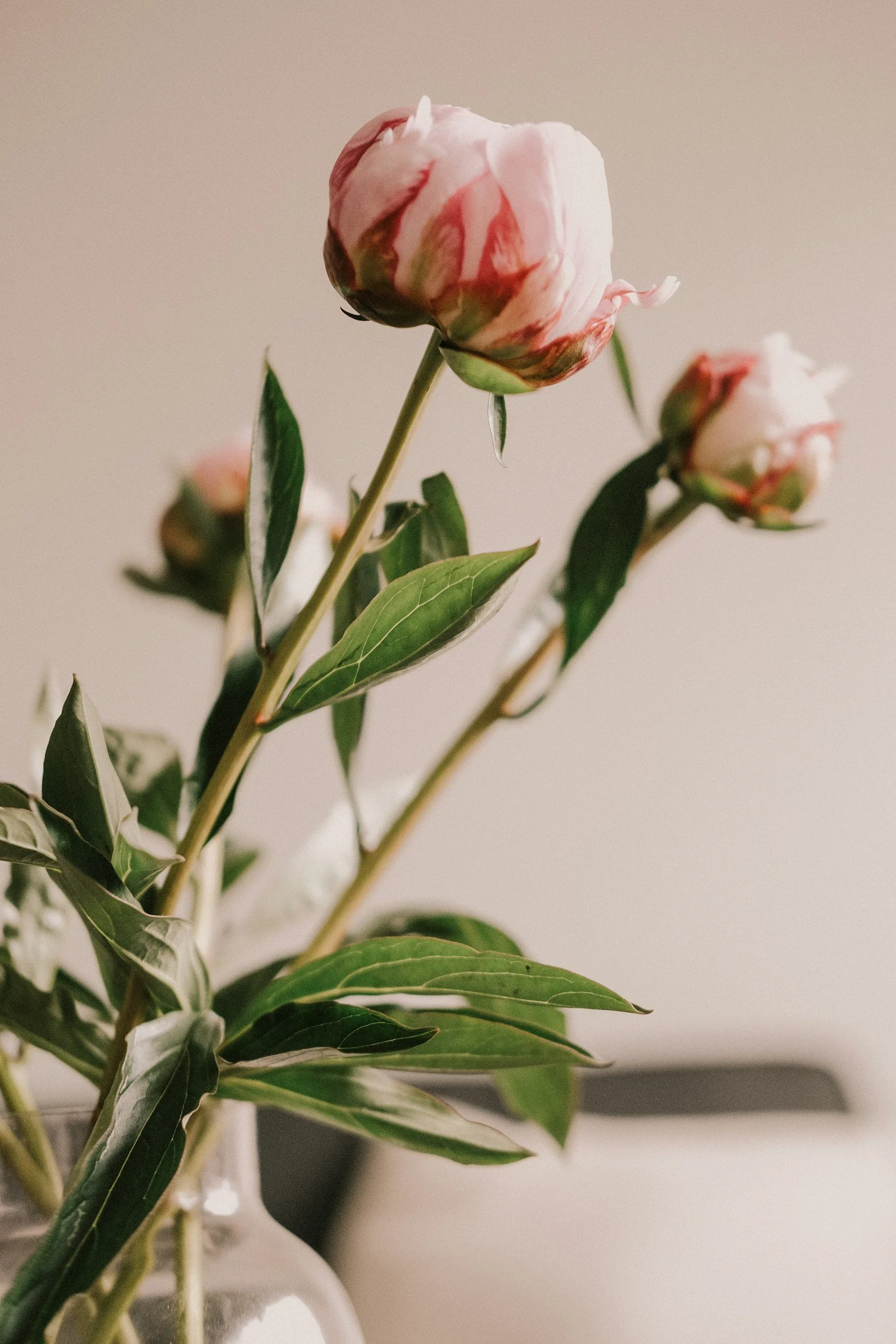 unsplash-image-twLC379XTMs.jpg