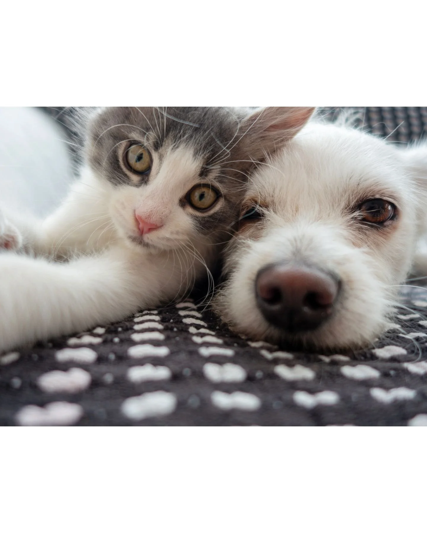 Unlock the potential of your living space today! Visit us online to discover how our holistic design solutions can transform your home into a sanctuary of comfort and style.