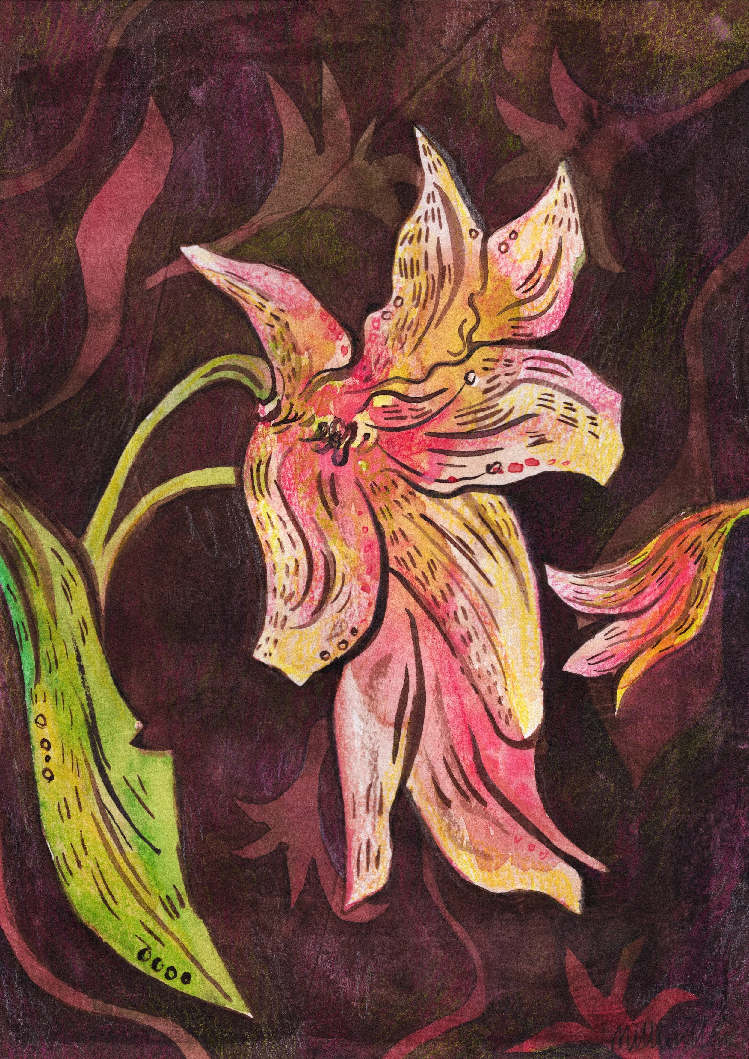 Day Lily from The Eden Project
