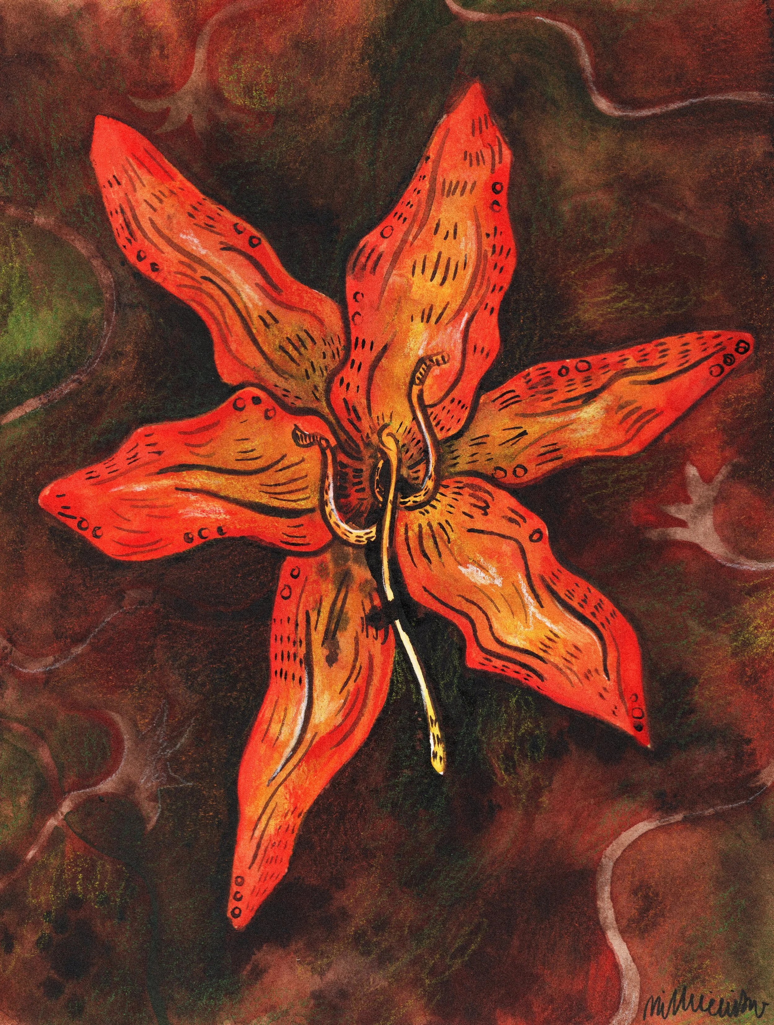 Jersey Lily from The Eden Project
