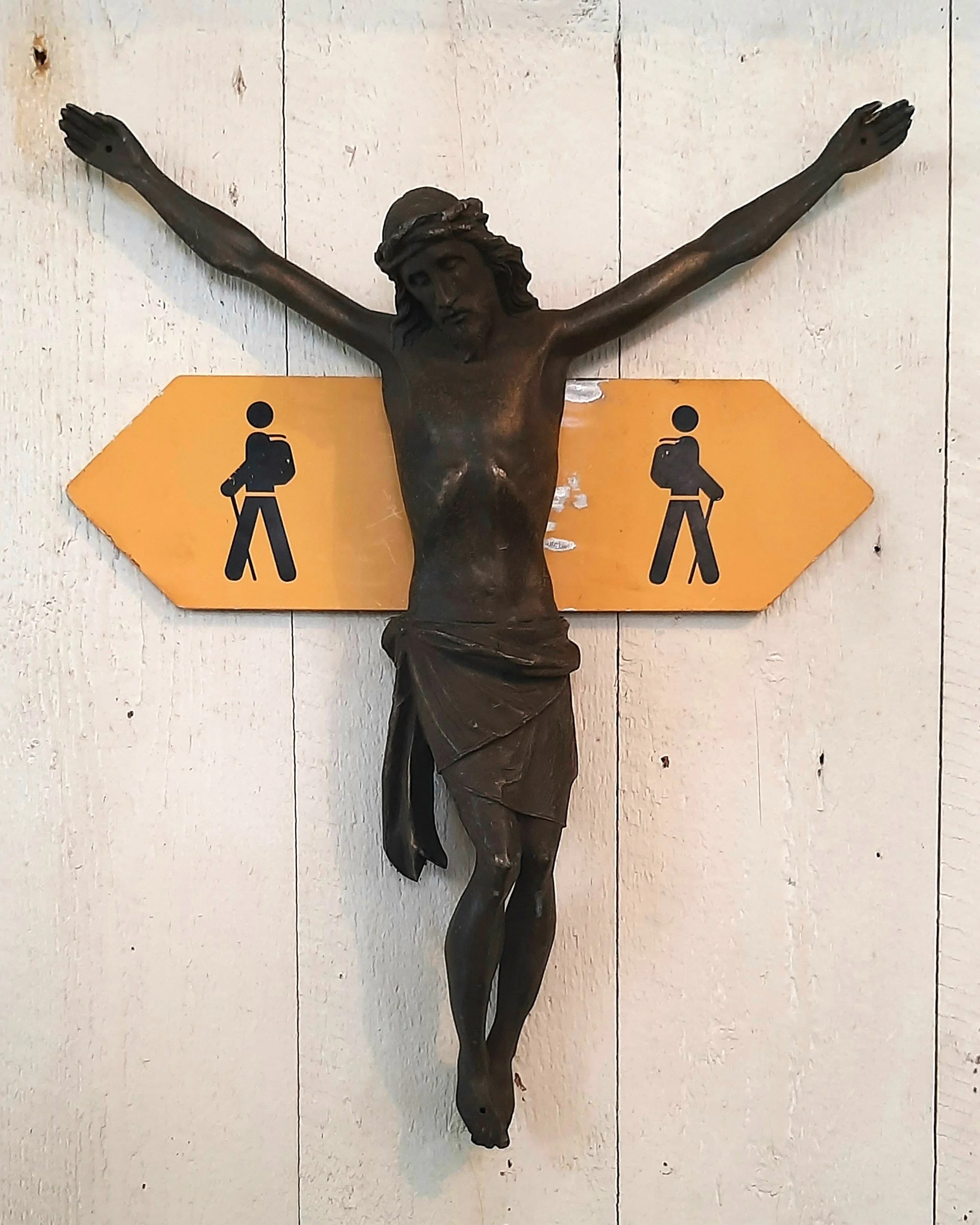 homo, quo vadis, 2022, alu