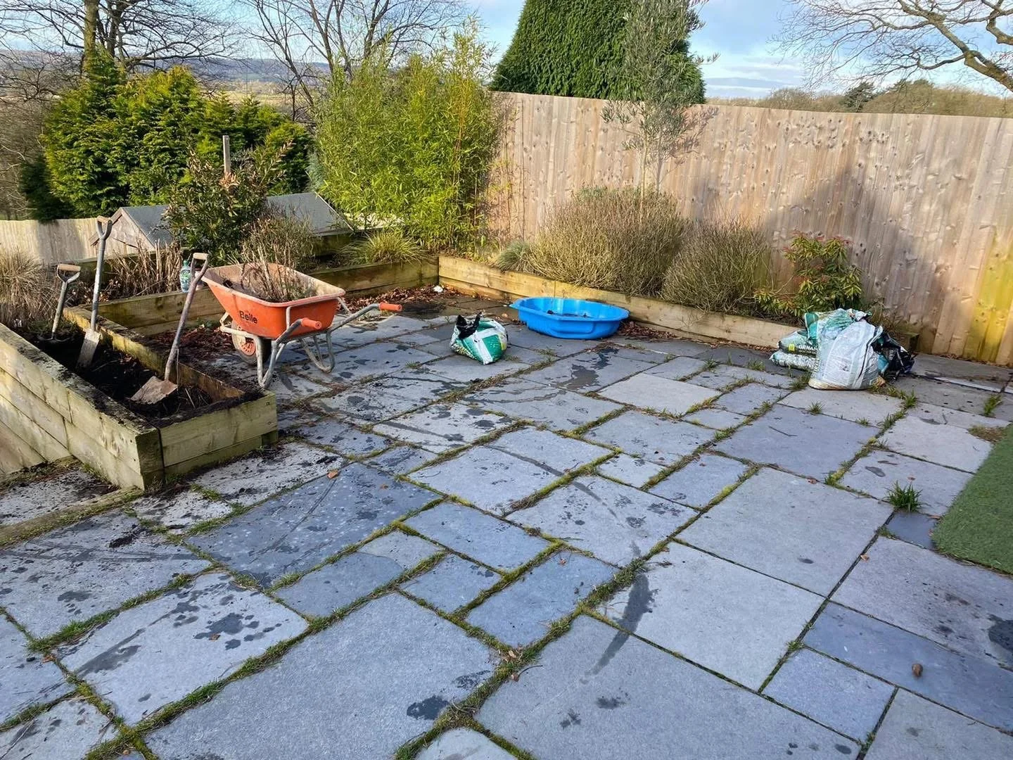 lanscaping 6 before.jpeg