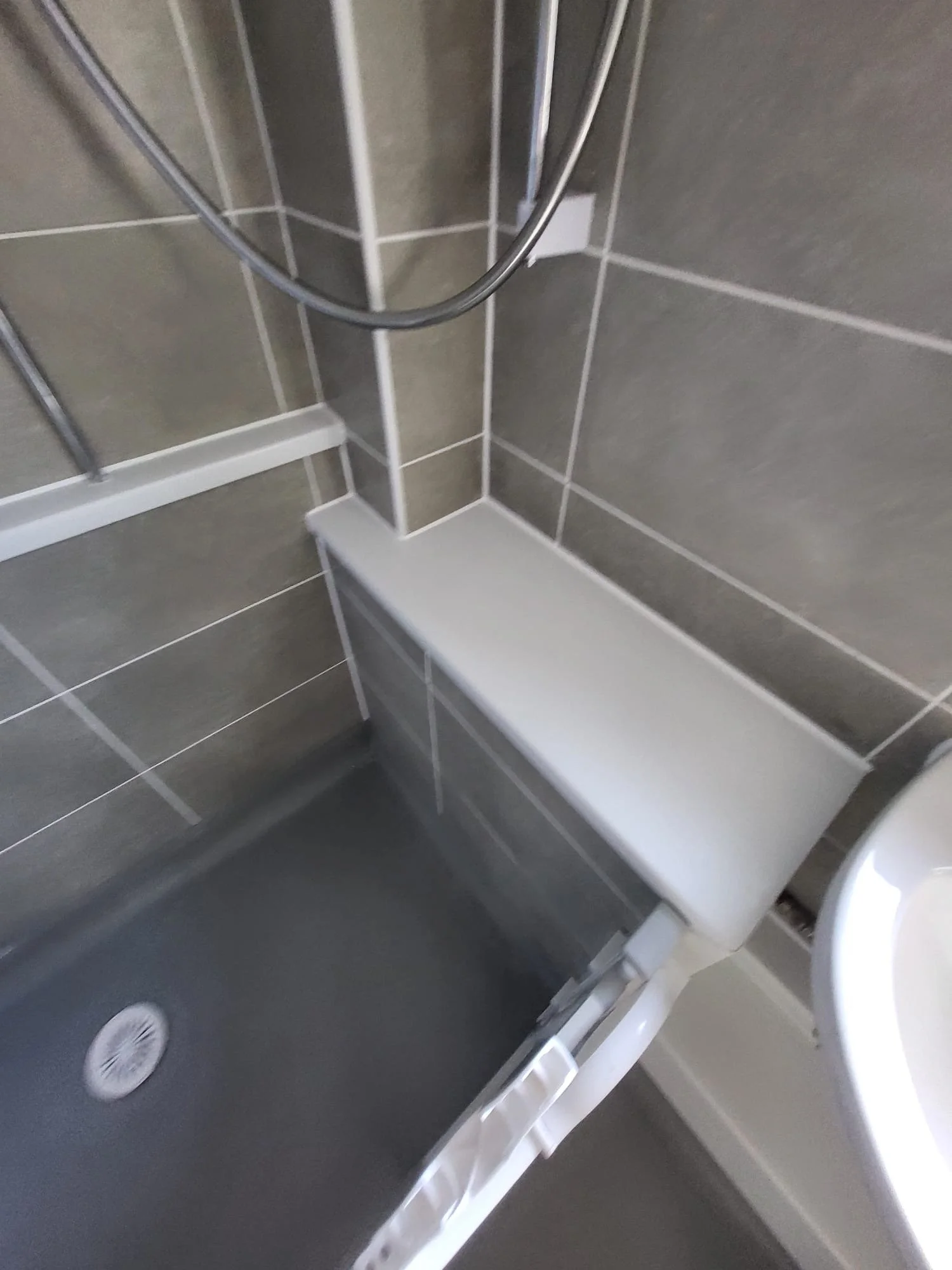 adaptation 45678.jpeg