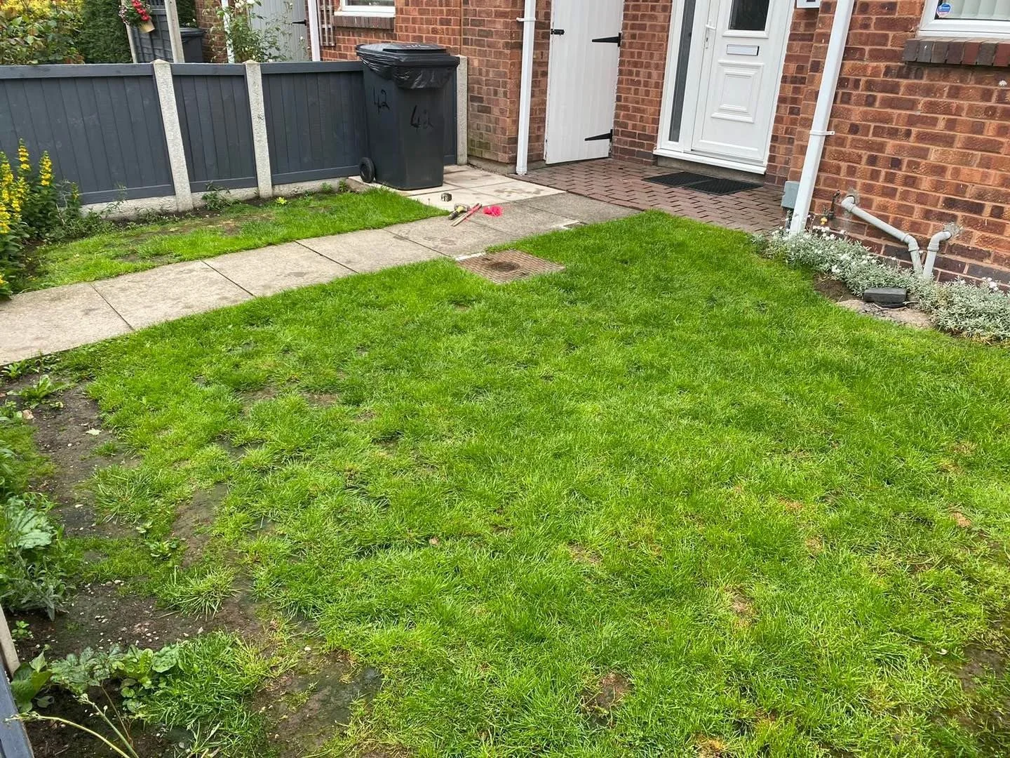 Garden 5 before.jpeg