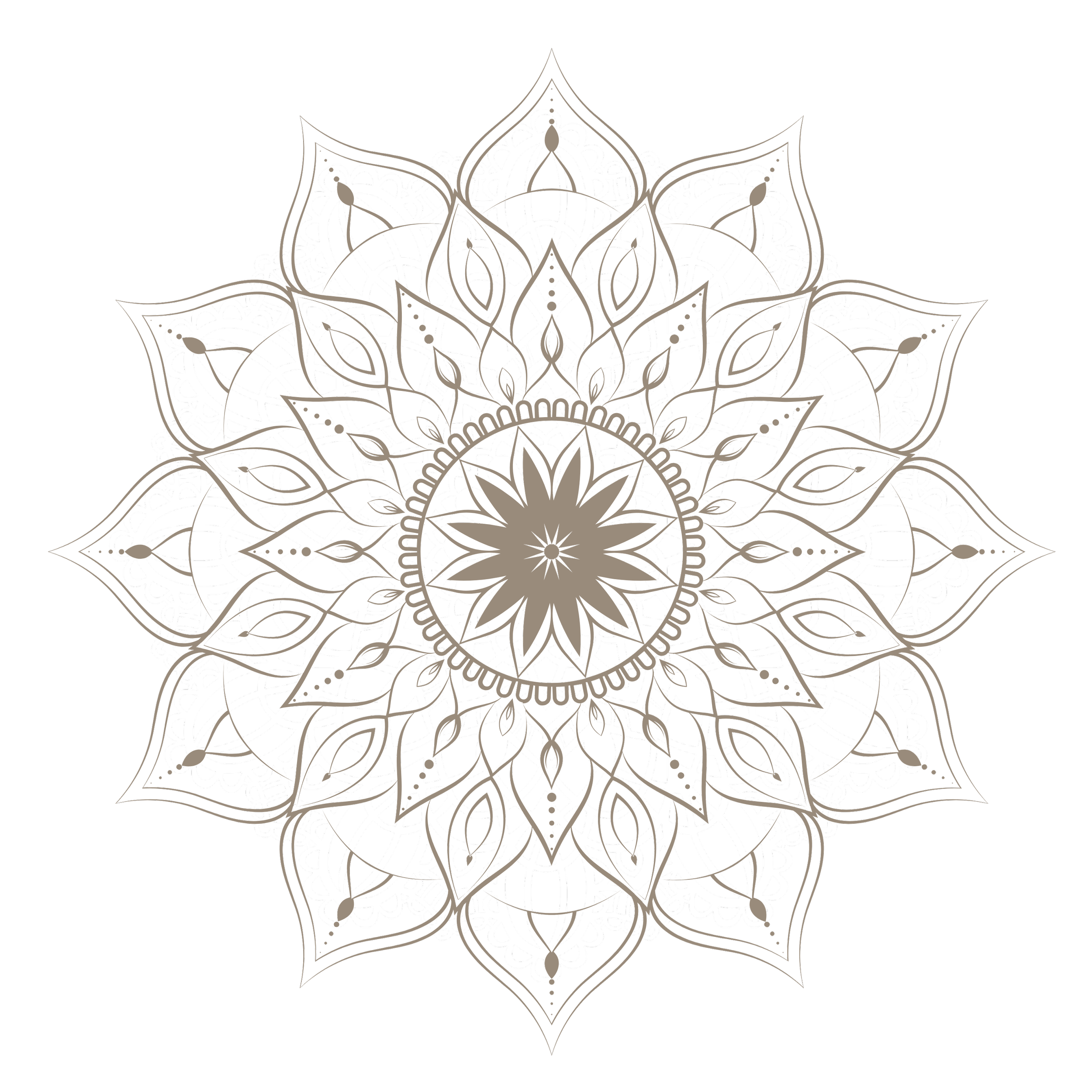 Intricate white lace mandala design on a black background.