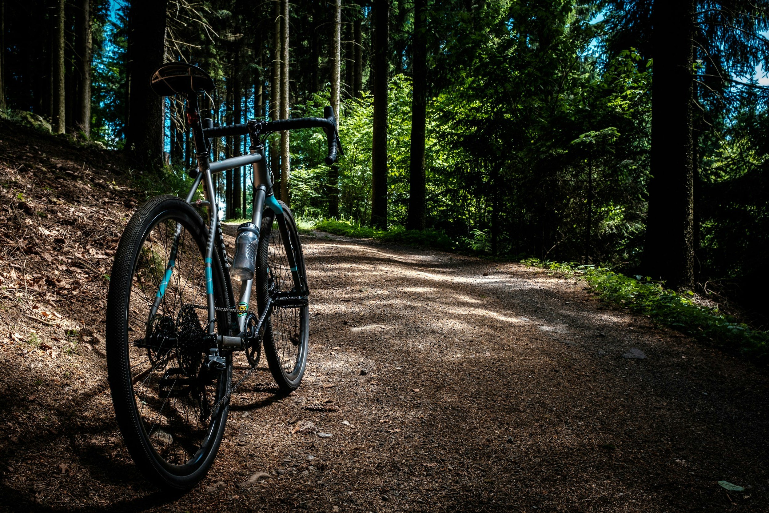 A sports bicycle parked on a dirt trail in a dense forest with tall trees, sunlight filtering through the leaves, and green foliage along the path.