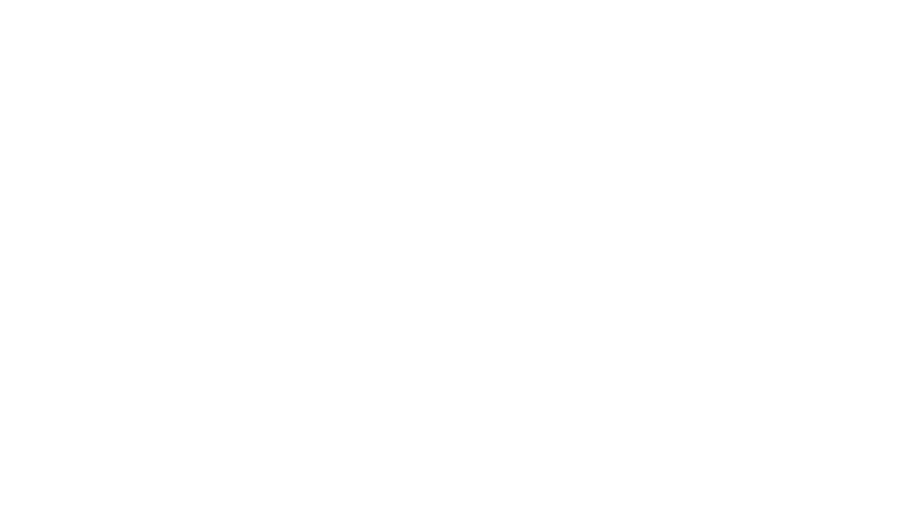 msa-logo.png