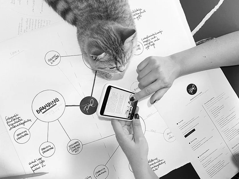 A person and a cat are on a table with documents and a phone. The person's hand is holding the phone, and the cat is looking at the documents. The documents include handwritten notes and diagrams related to branding.