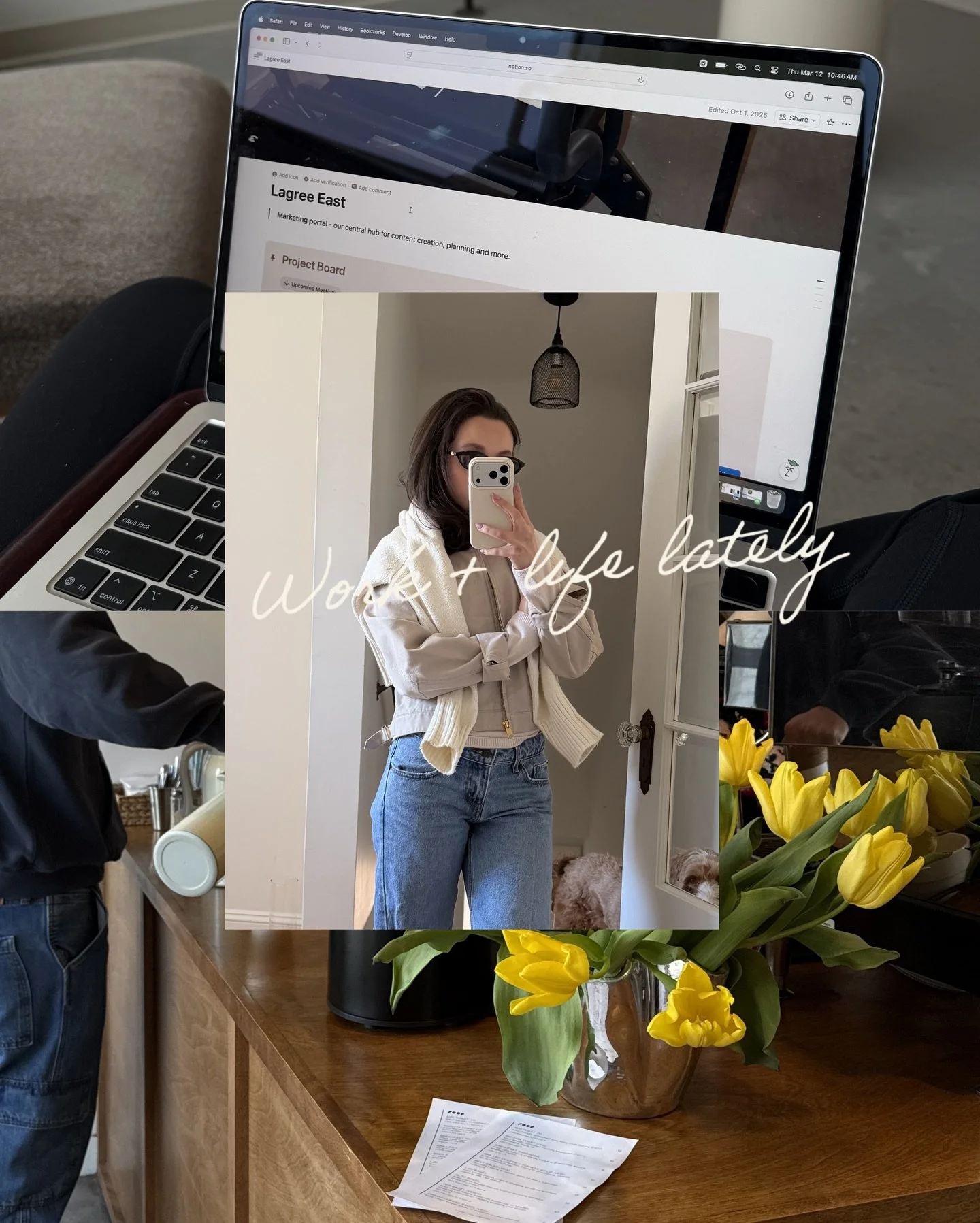 What I&rsquo;ve been up to lately!! 👩🏻&zwj;💻