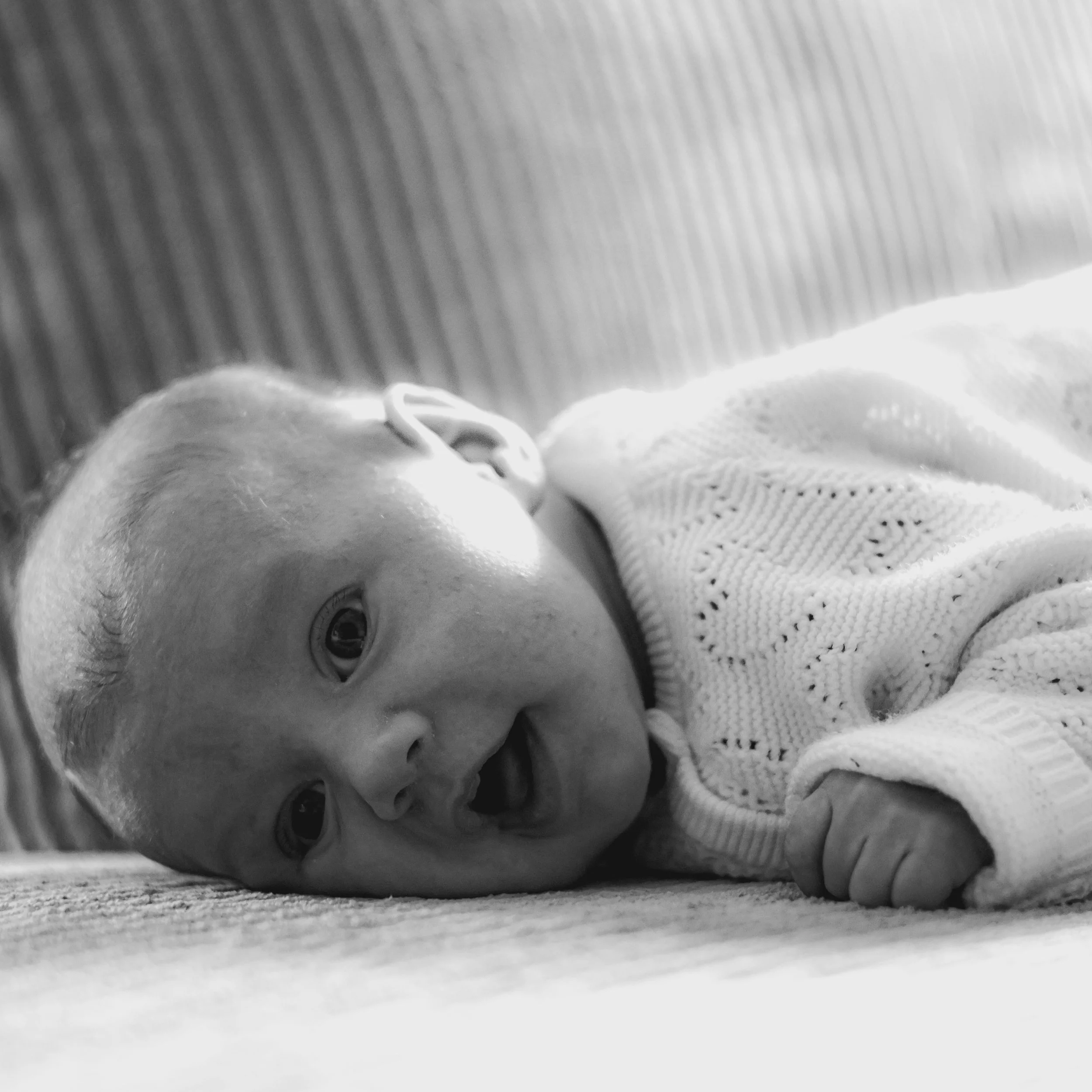IMG_2239.jpg