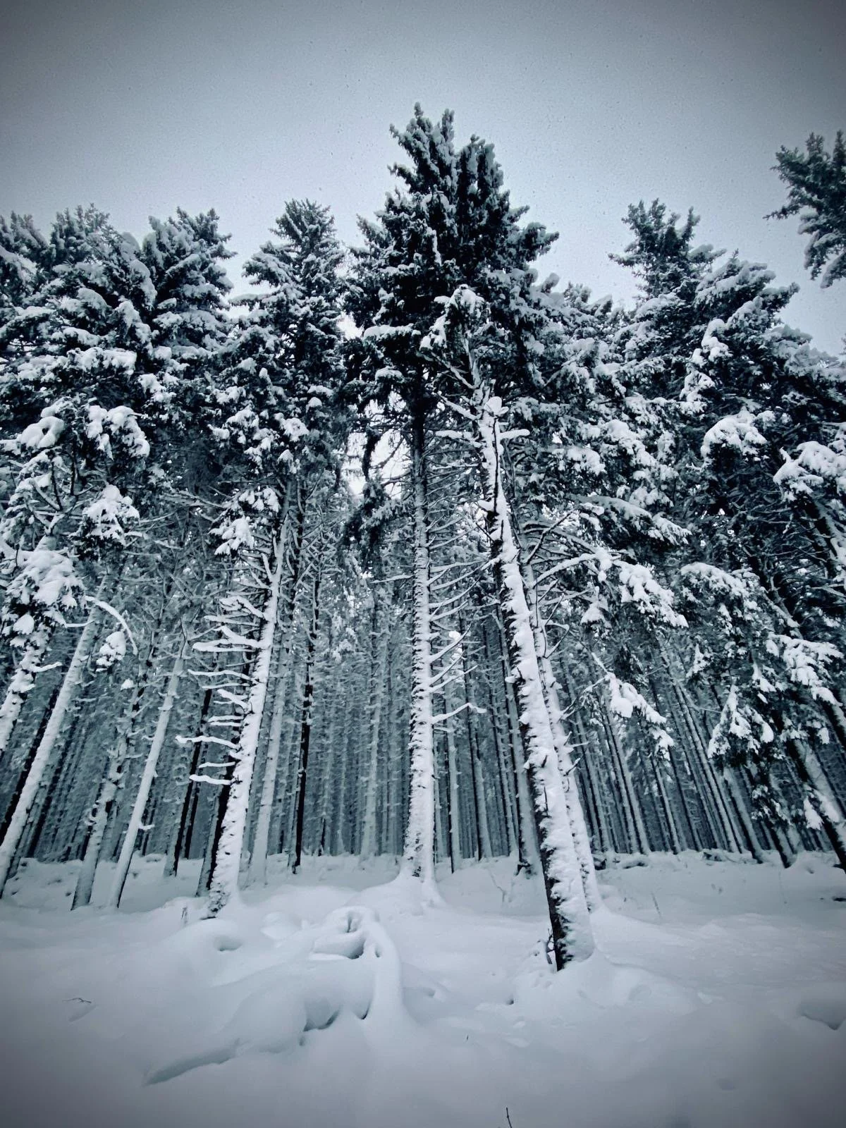 3a8c8d6f-fe8c-4cd7-8787-2e045a518b10 2.JPG