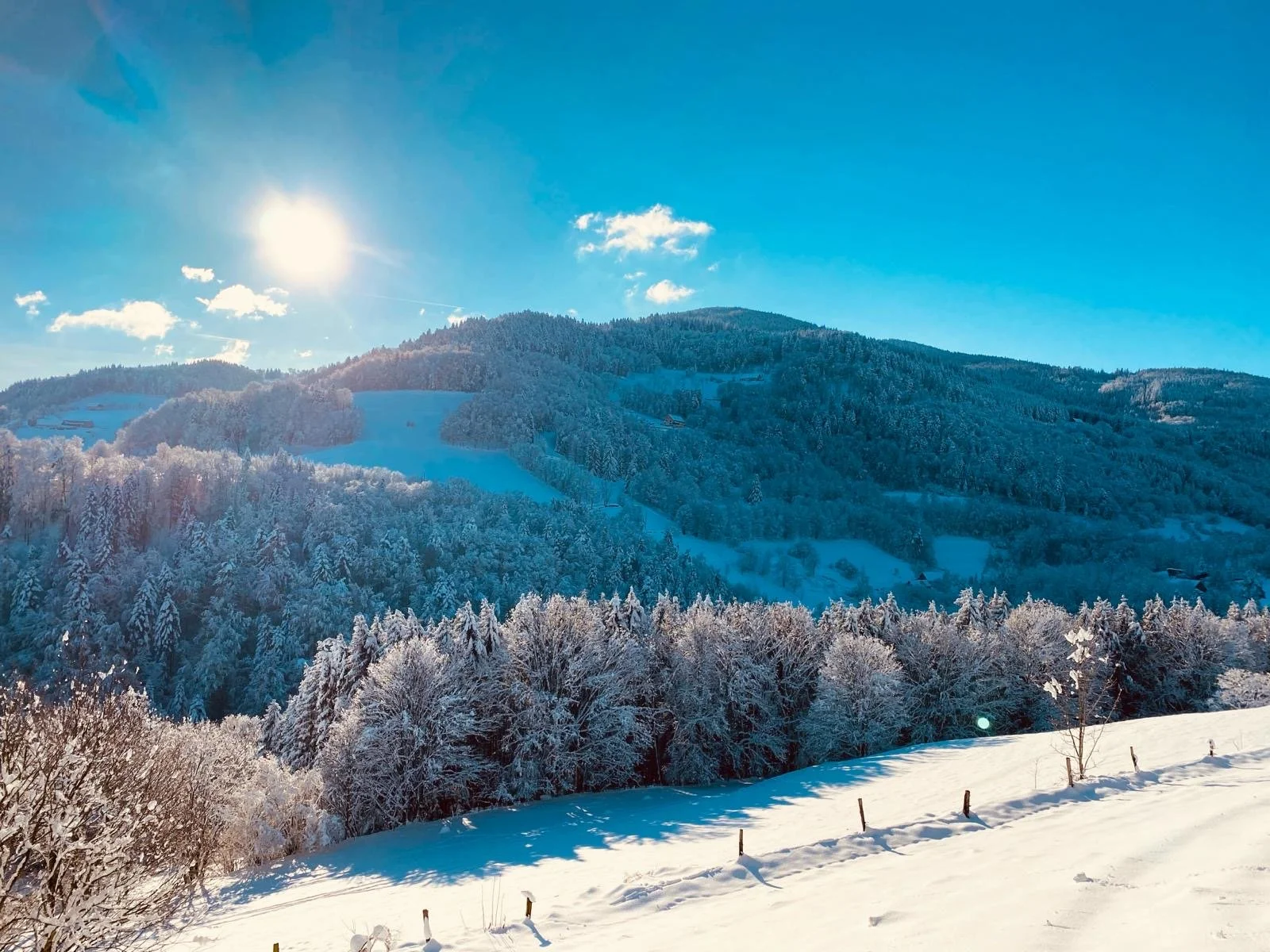 39c22a4d-bea7-48b9-9017-8d7d409df509 2.JPG