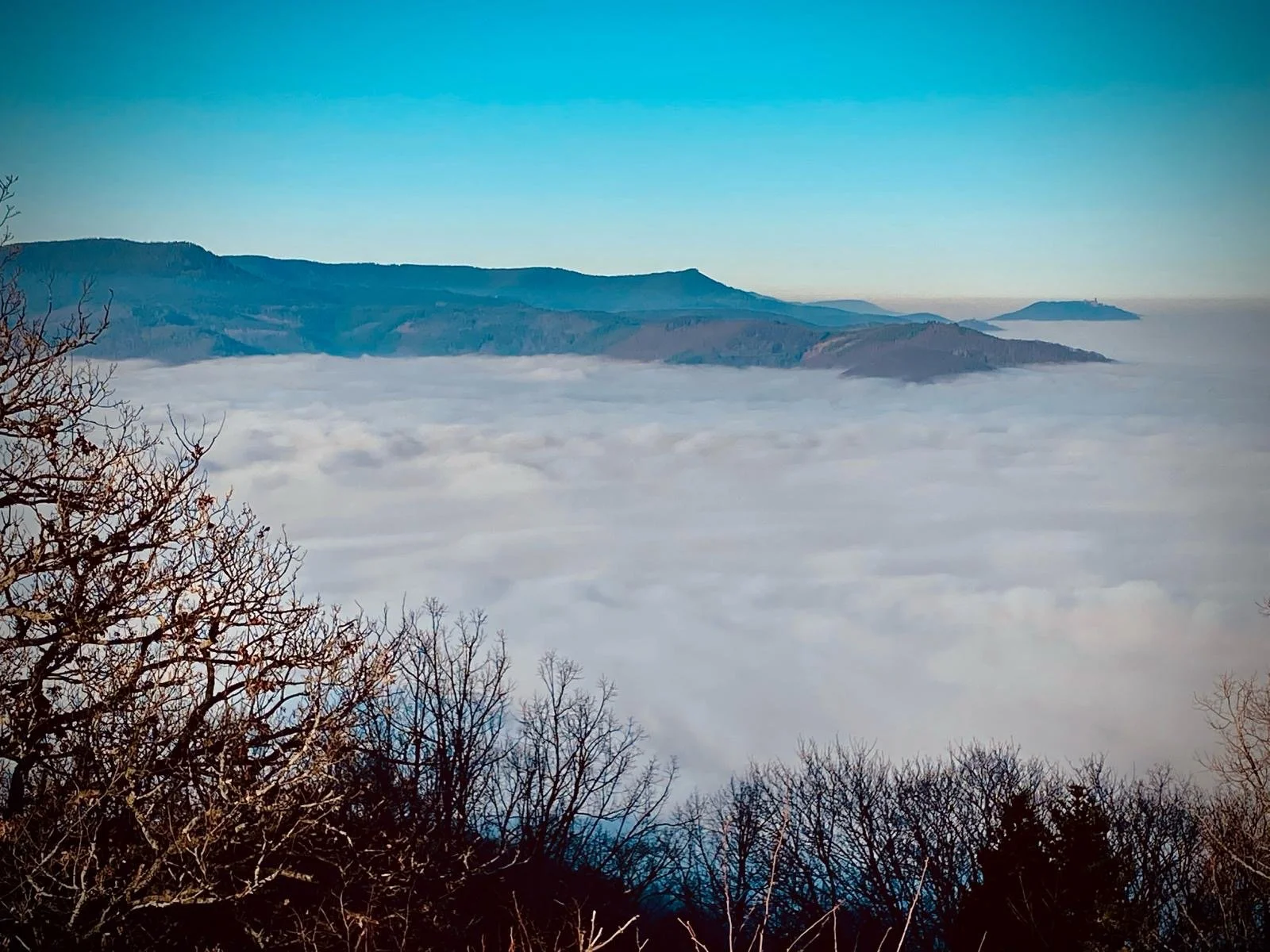 8995e0cb-86a8-424c-9b4c-e1567a35f286 2.JPG