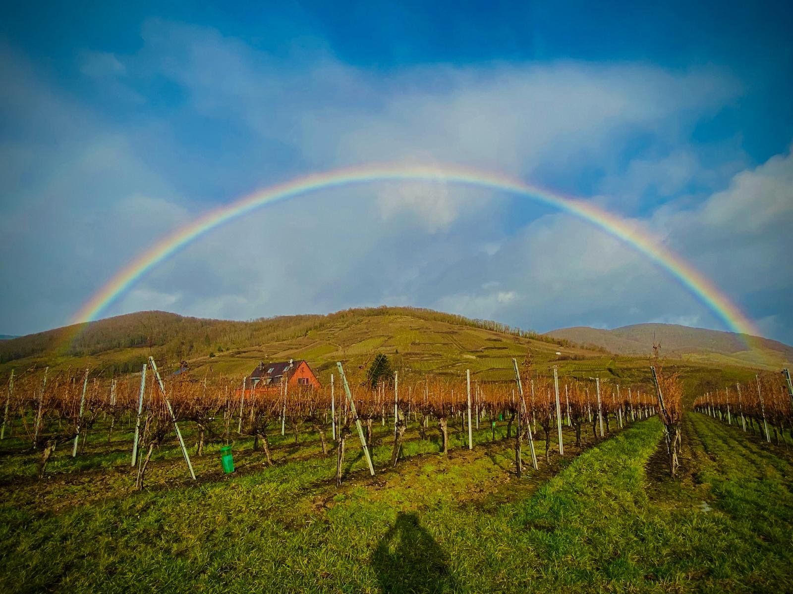 12133df5-56d0-42a9-a6f7-aaeb5bb005c0 2.JPG