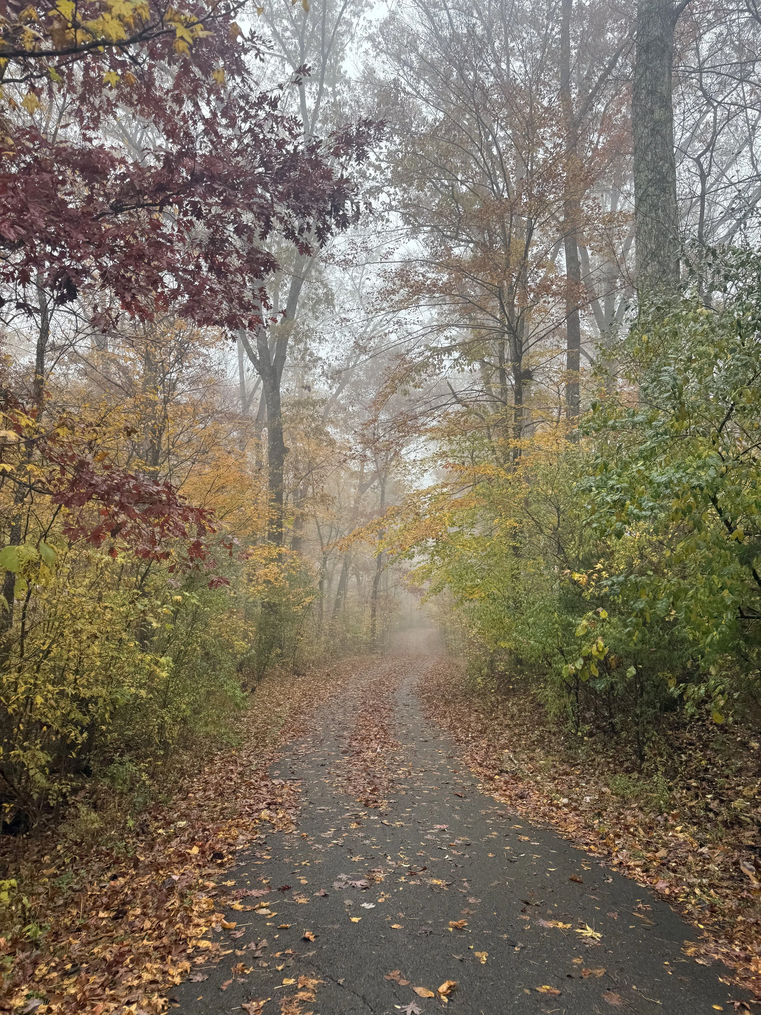 Move, Breathe, and Begin: Why Walking Matters