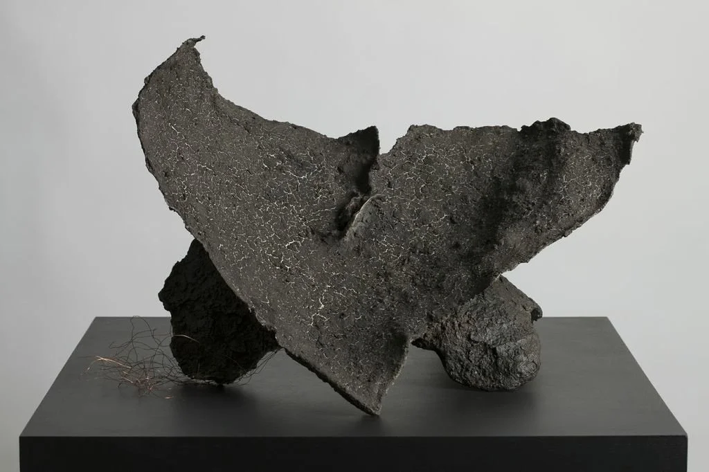 CNIII #2, paper, rice paste, pigment, copper wire, mud