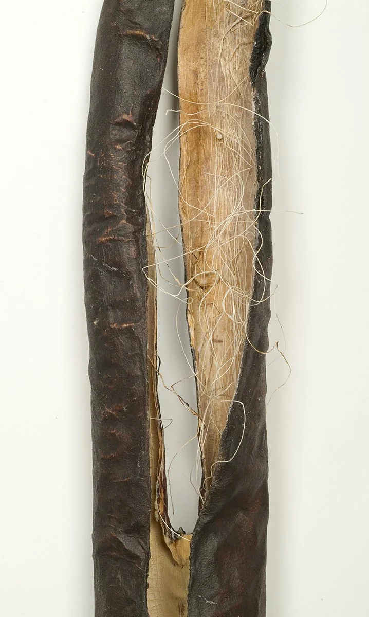 Remains I #6, detail