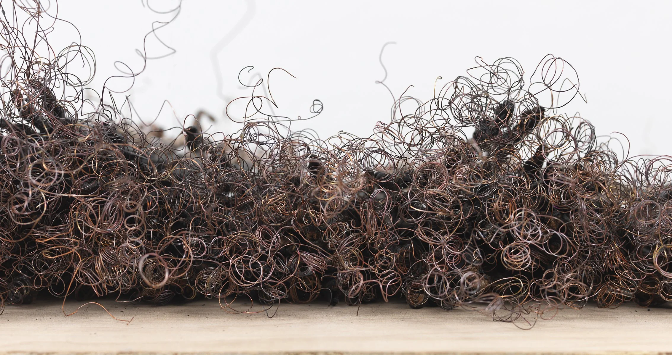 Remains II #3 (detail c)