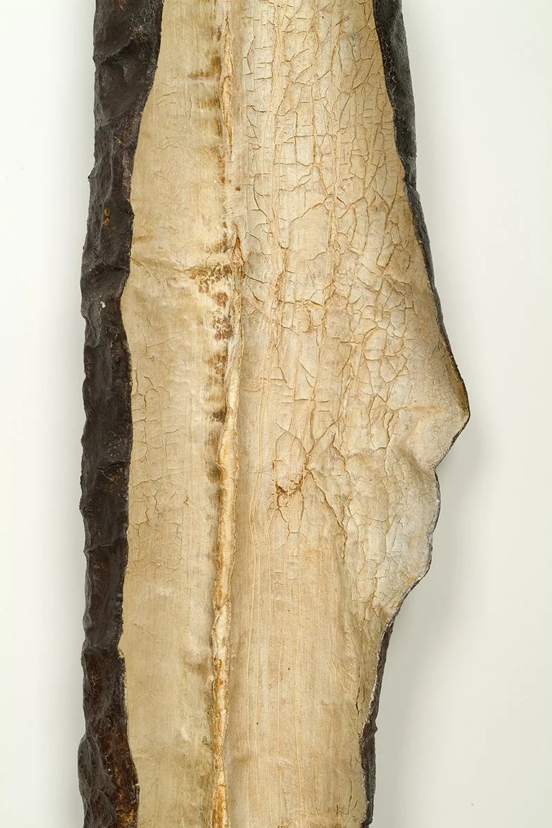 Remains I #4, detail