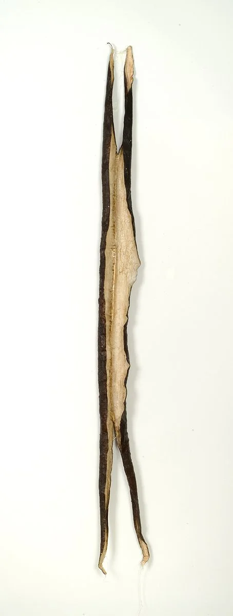 Remains I #4, detail