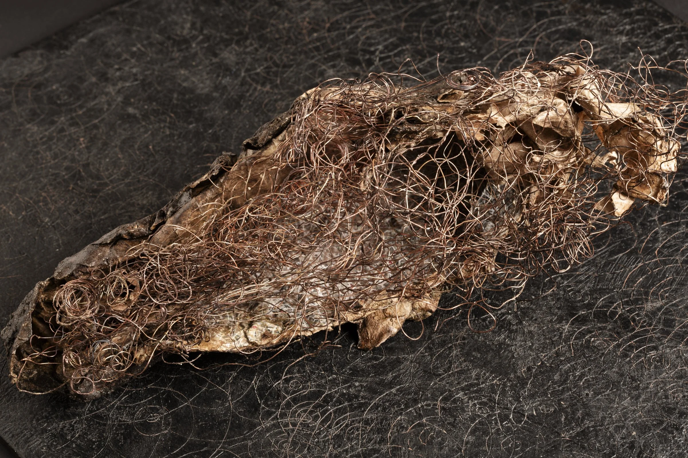 Linda Gordon_Kessler_5122_3.jpg