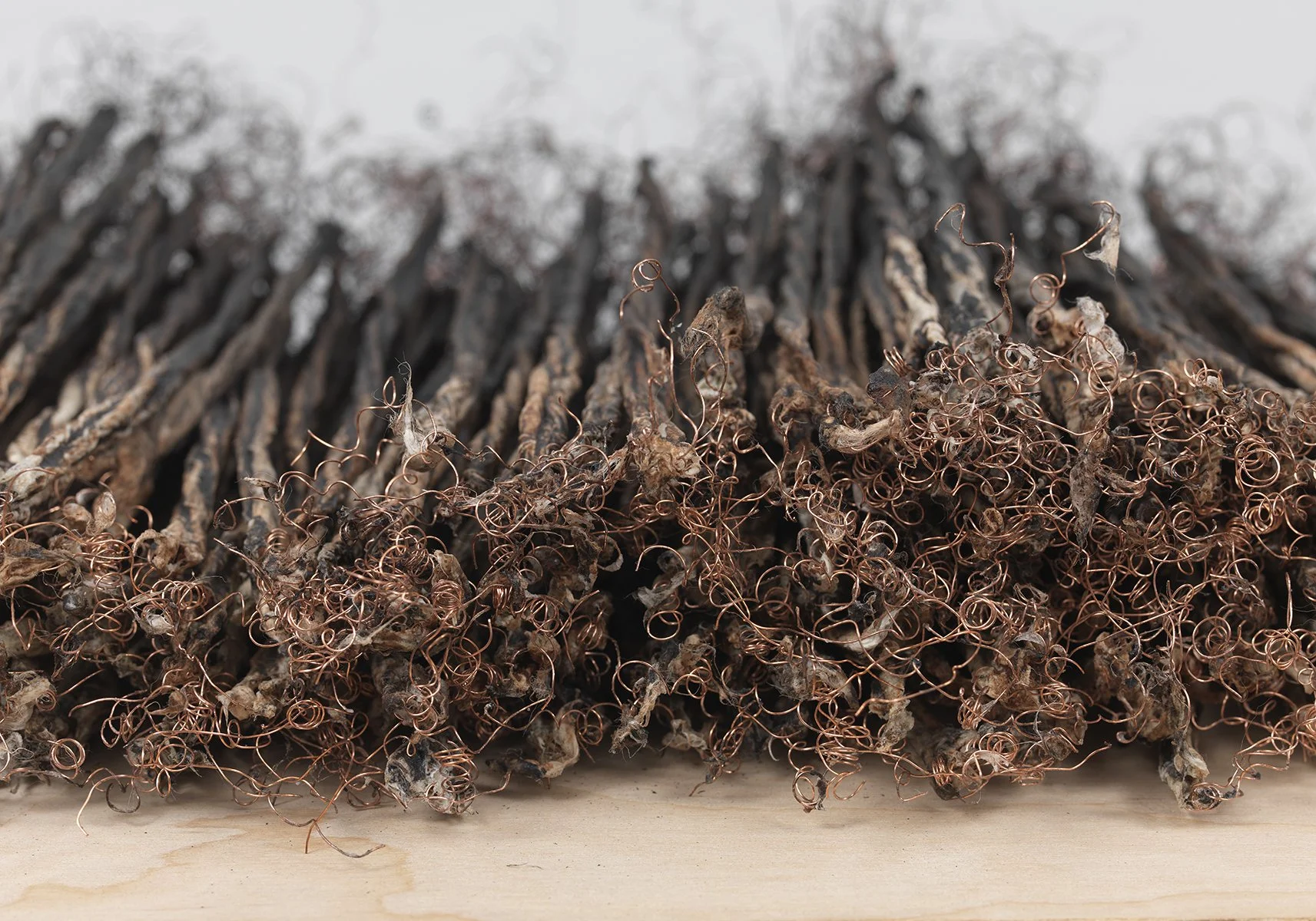 Remains II #3 (detail b)