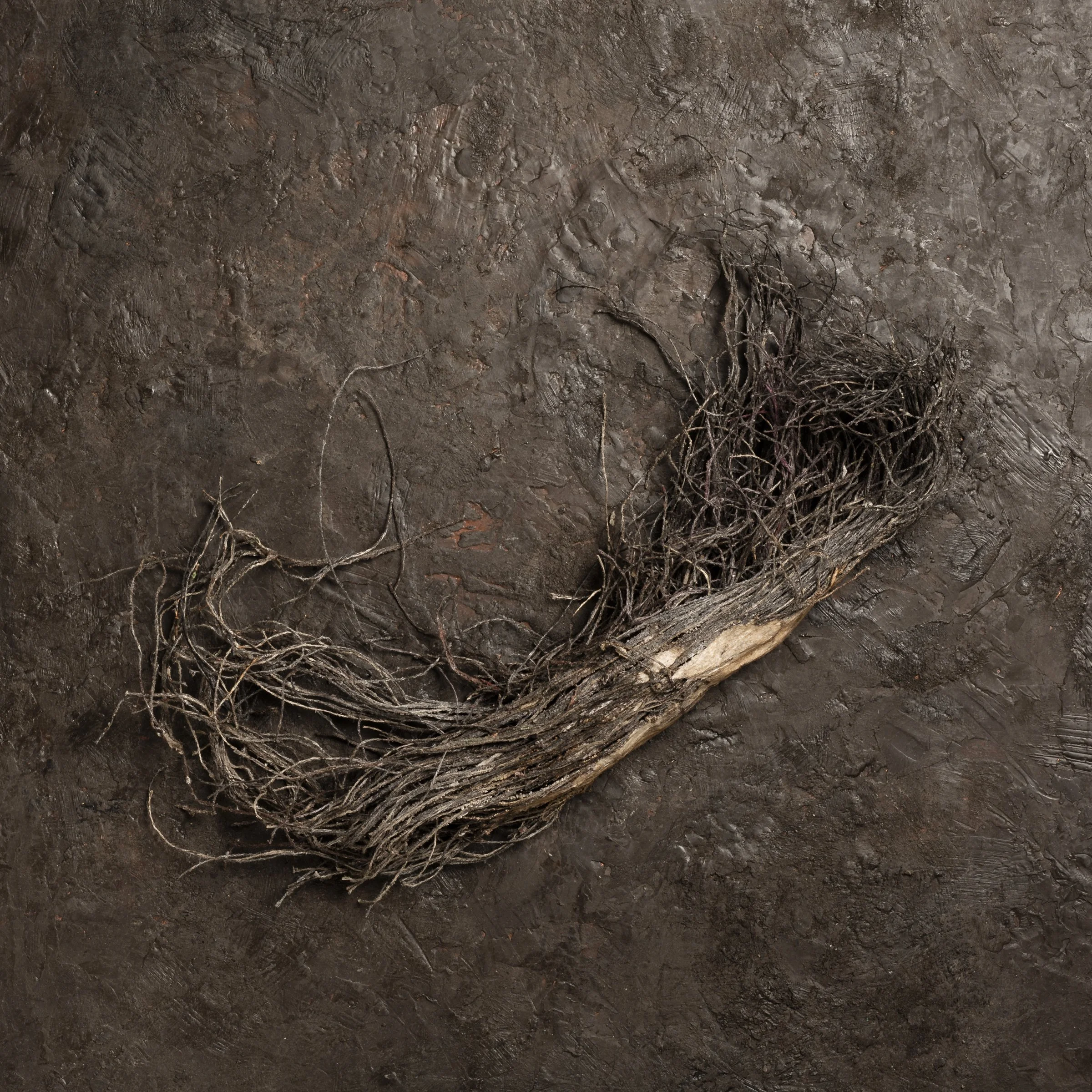 Linda Gordon_Kessler_5108_3.jpg