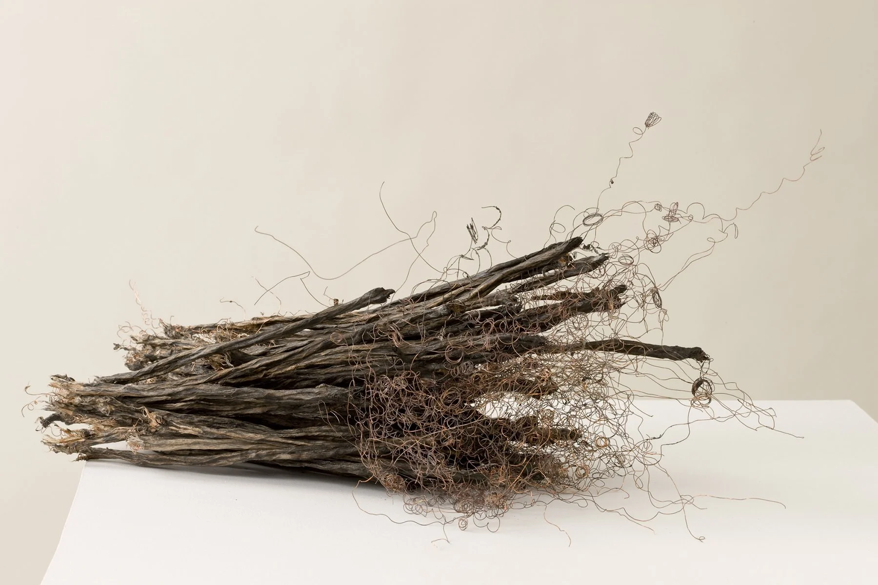 Remains II #2: string, copper wire, paper, rice paste, pigments, fire, water