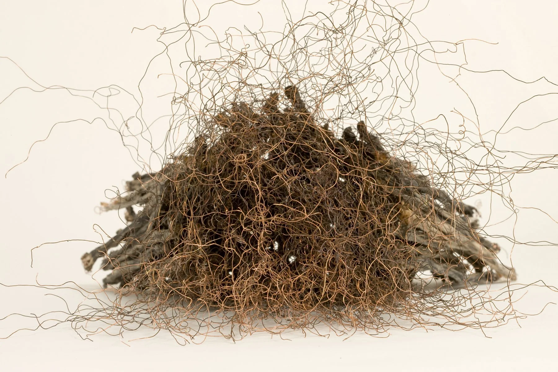 Remains II #2 (detail)