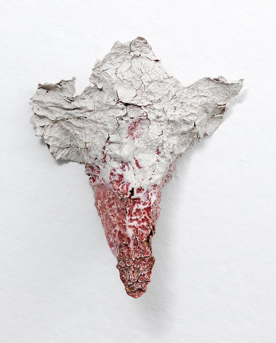 CN #21, paper, rice paste, pigment