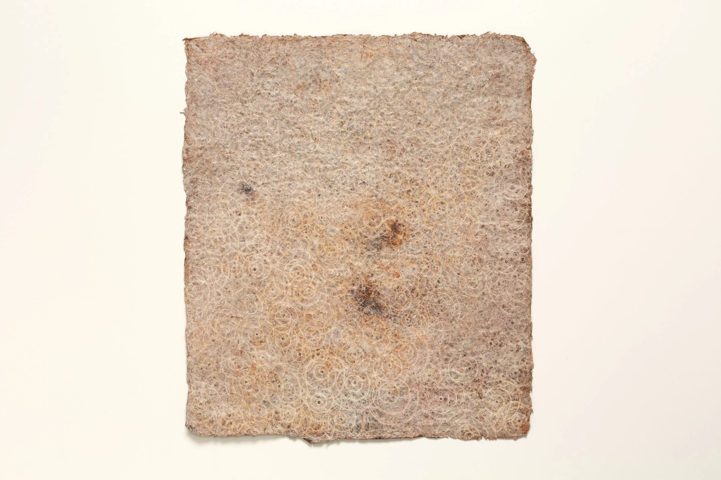 Linda Gordon_Kessler_5143.jpg