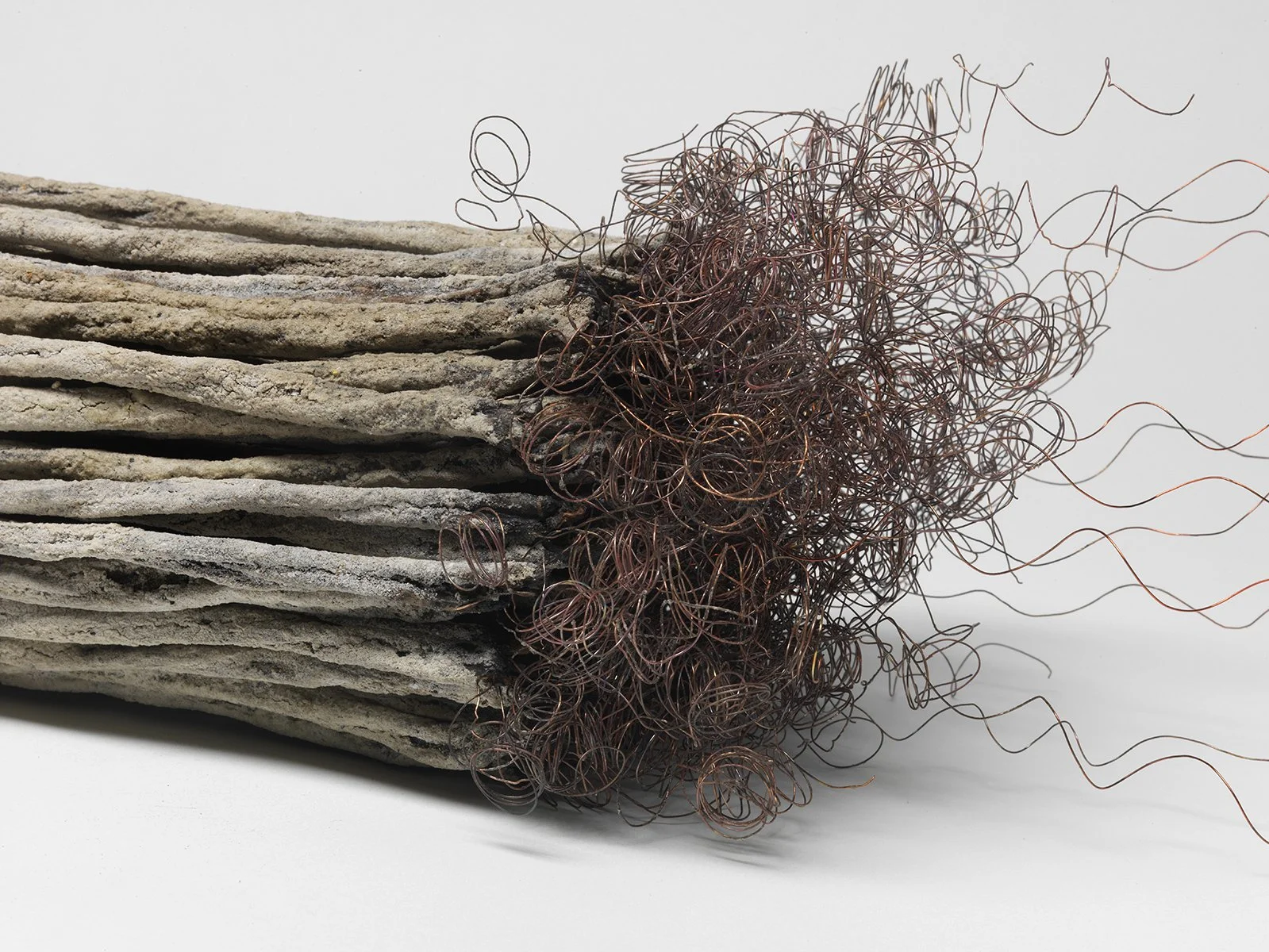 Remains II #5 (detail)