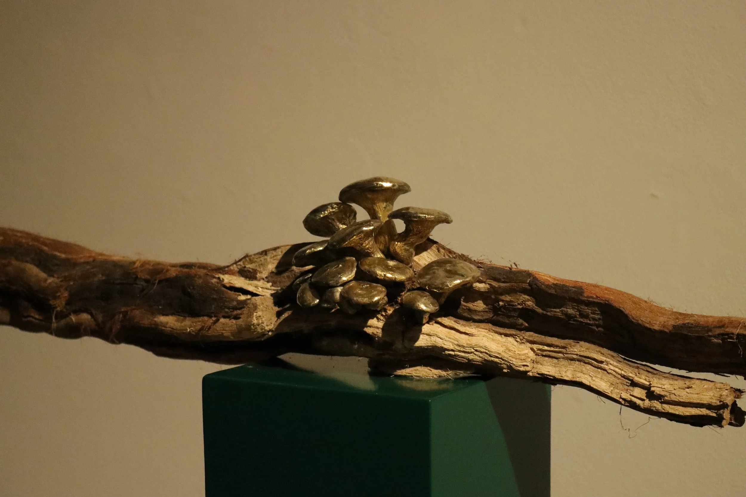 WhatsApp Image 2026-02-18 at 12.29.31.jpeg