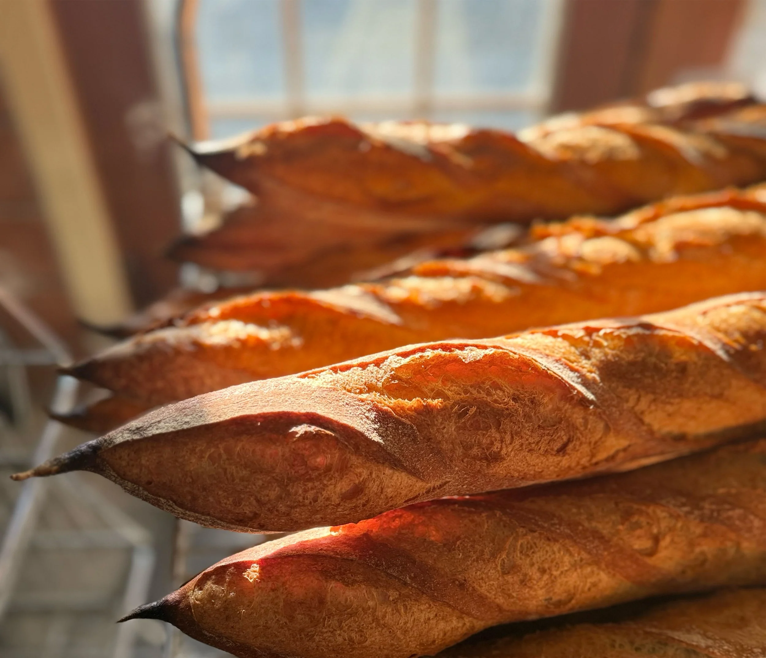Baking Bread with Farmer Ground Flour 