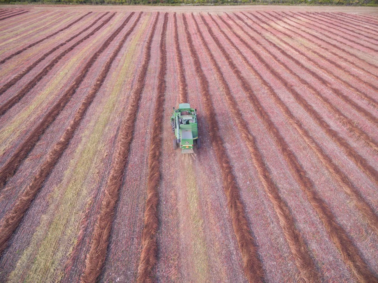 A green farming machine working in a large field with pink and brown stratified layers of soil.