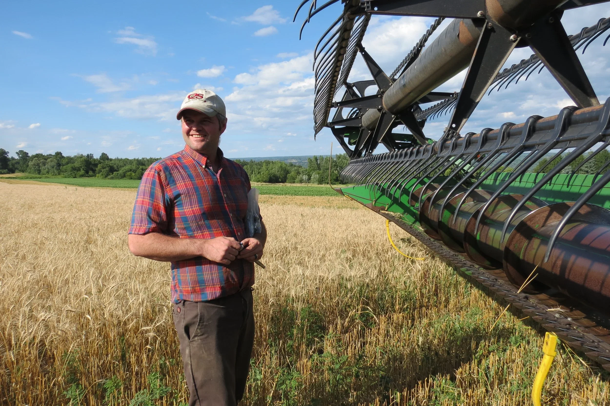 A man in a plaid shirt and khaki pants standing in a wheat field under a blue sky with scattered clouds, near agricultural machinery.