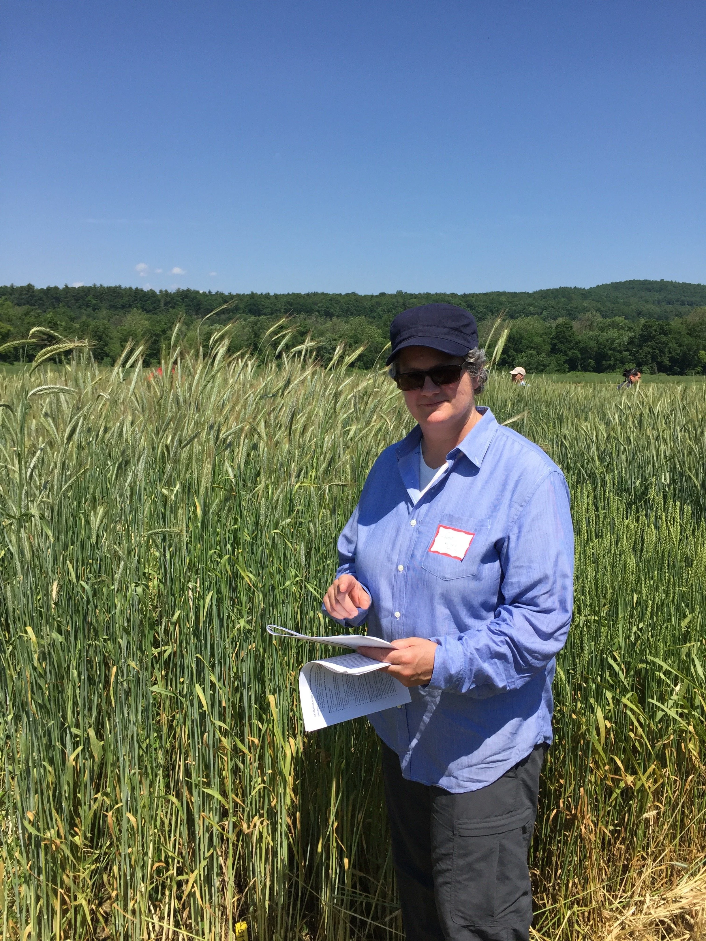 Woman in sunglasses and blue shirt standing in a field of wheat, holding papers, with a clear blue sky and trees in the background.