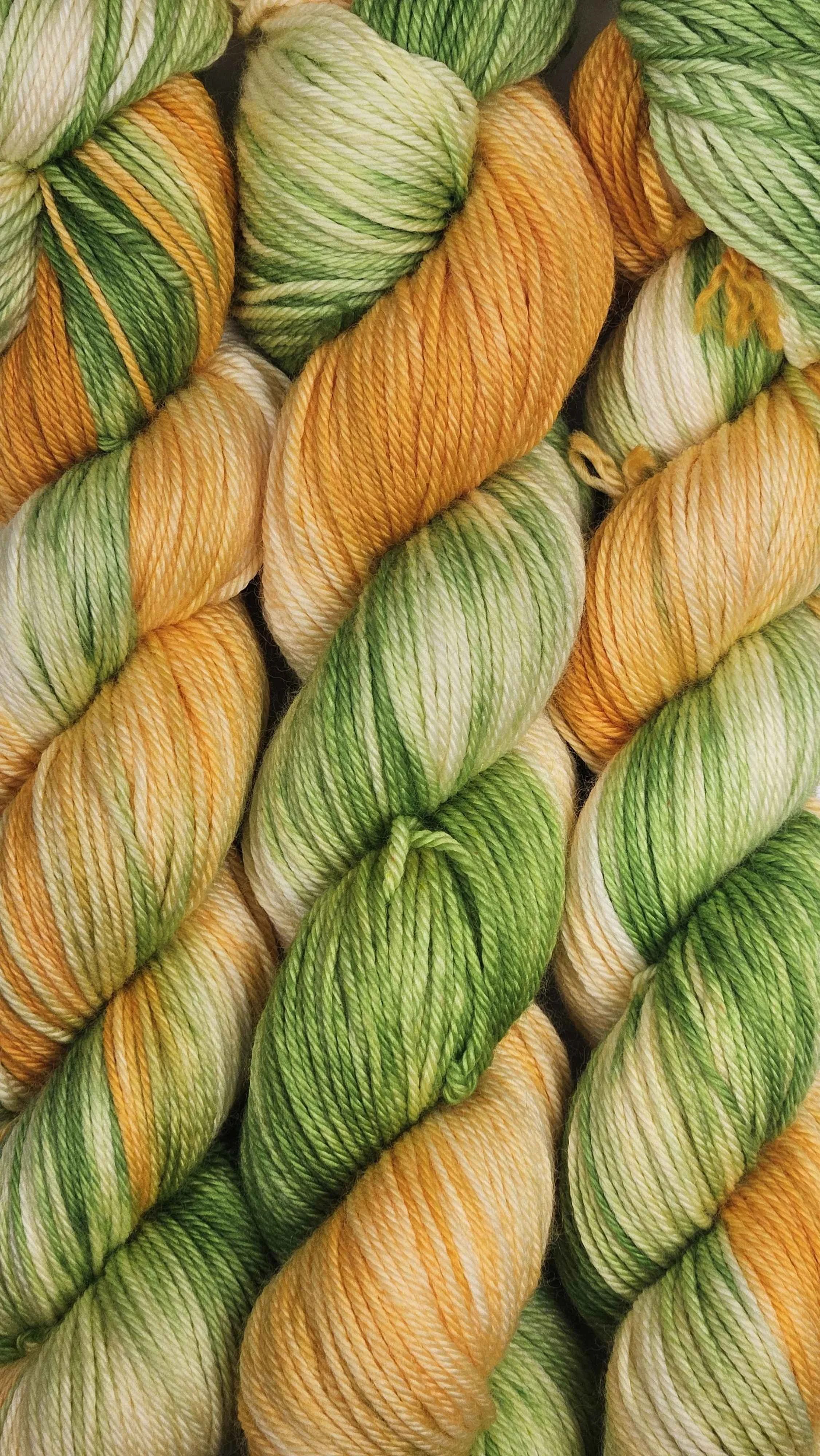 20260510_154608.jpg