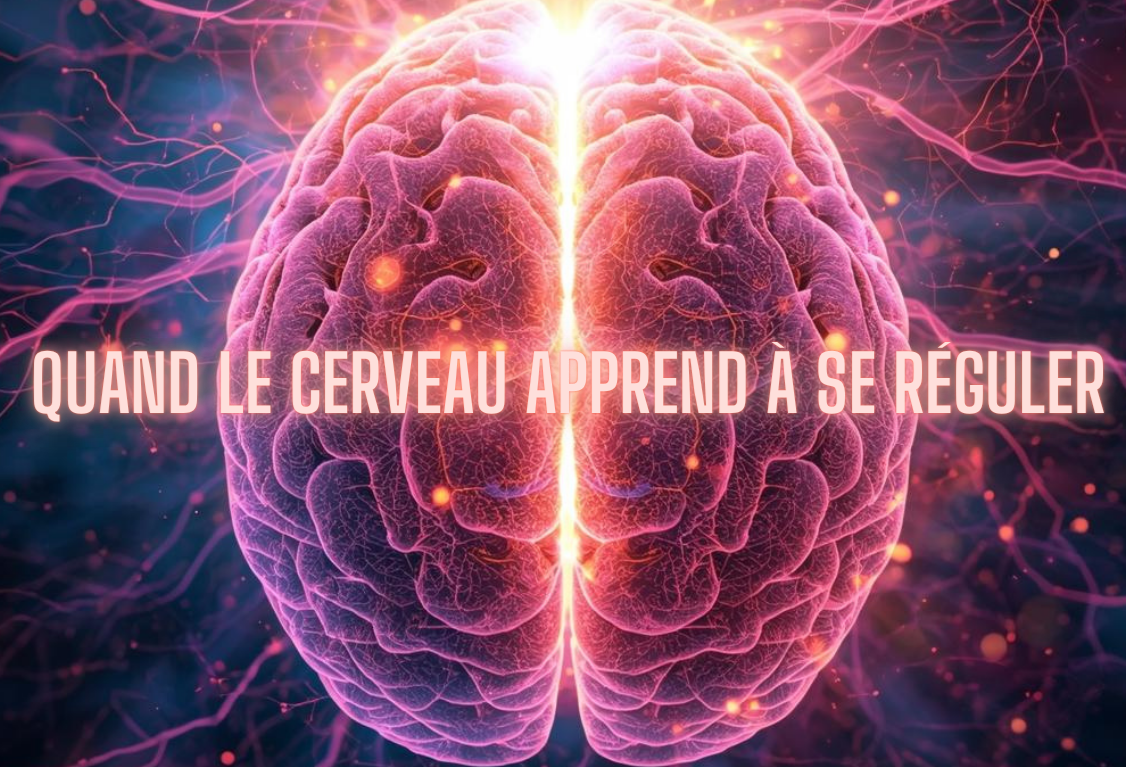 Quand le cerveau apprend à se réguler 