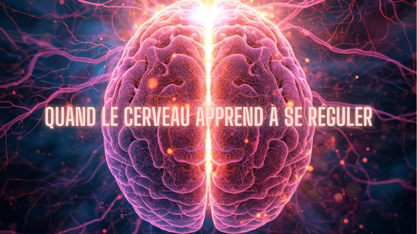 Cerveau humain lumineux avec des connexions neuronales, fond coloré avec texte en français "Quand le cerveau apprend à se réguler".