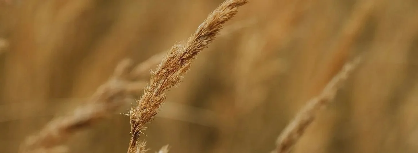 leaving purity culture