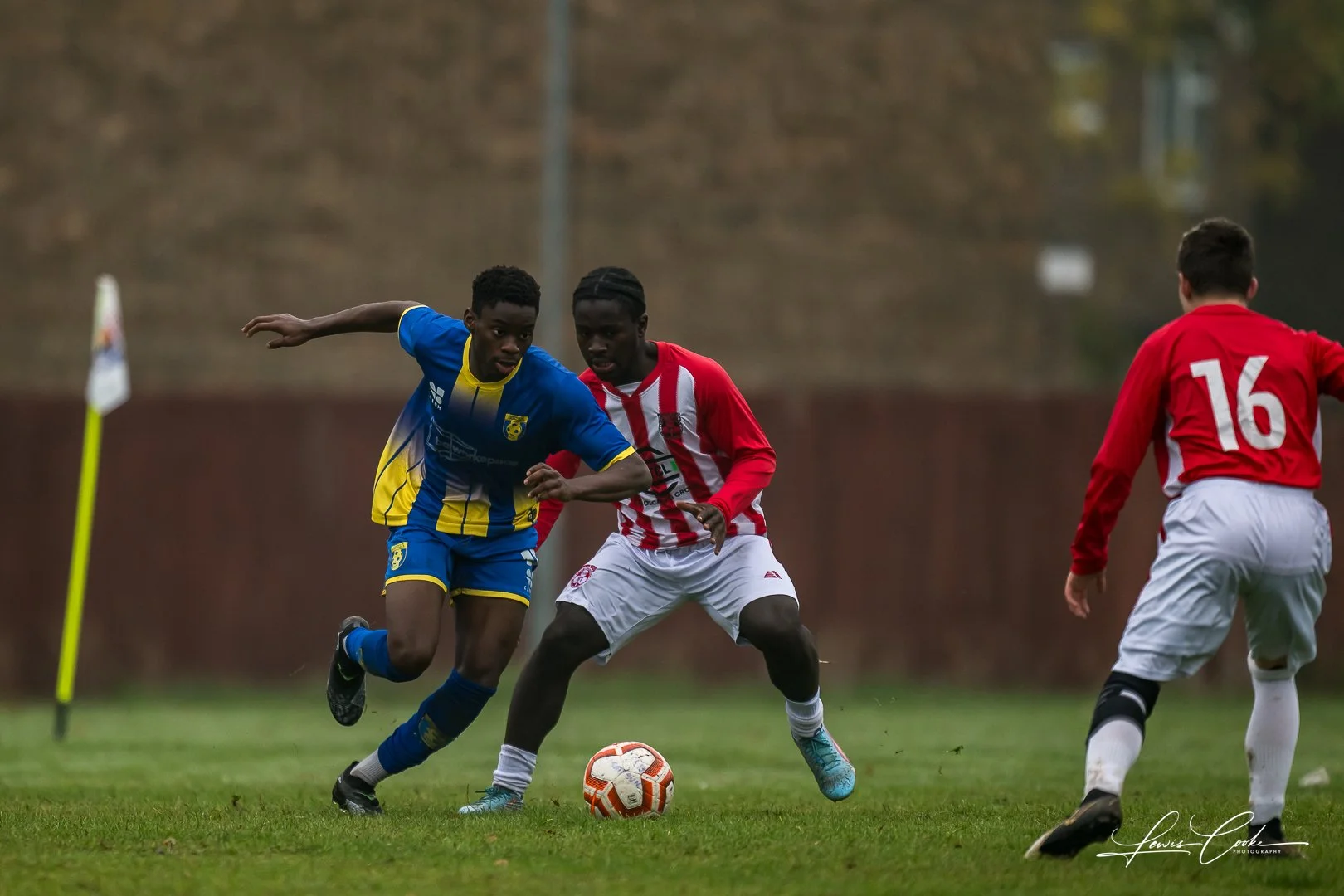  056 DSC_4271 251012.jpg