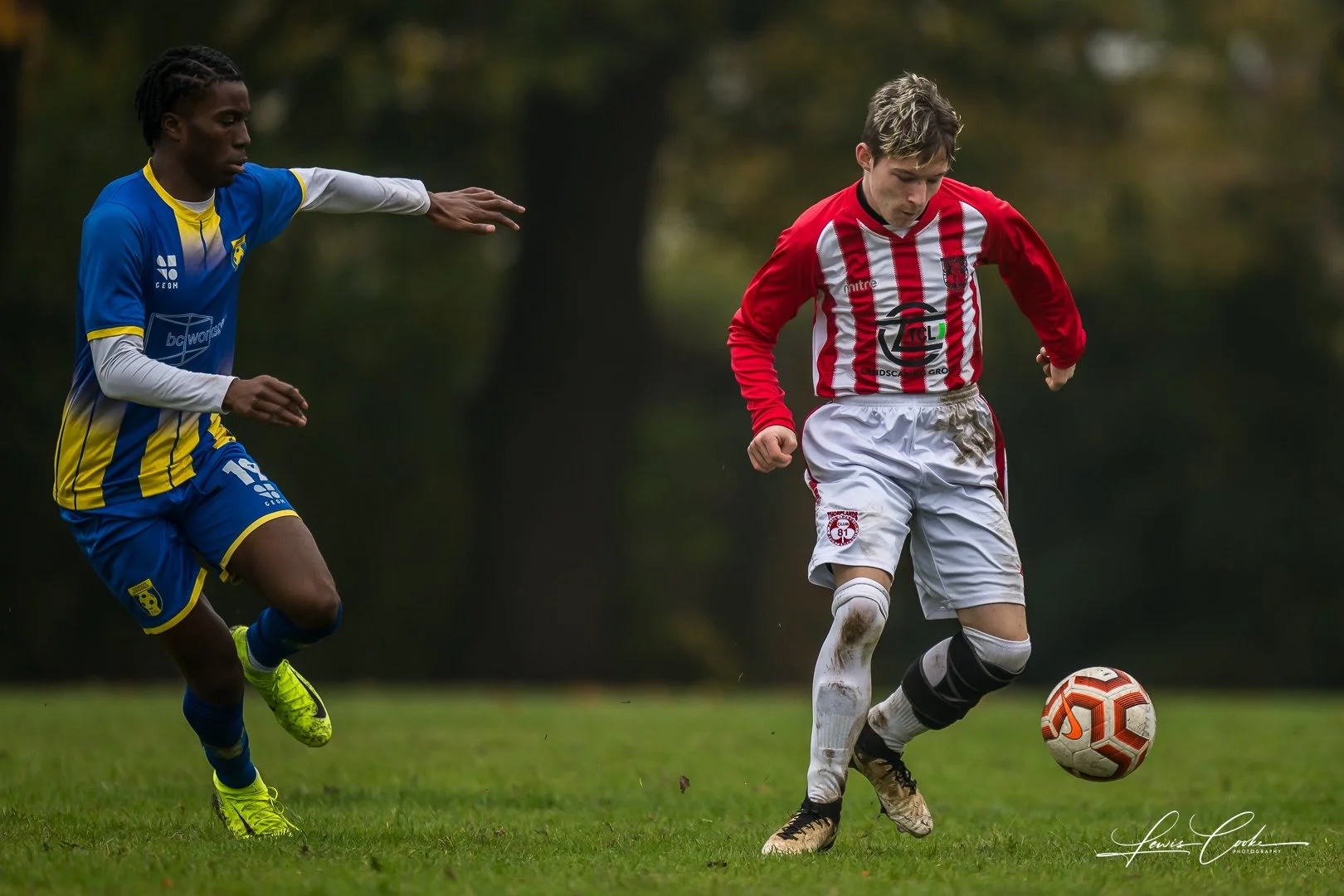  082 DSC_4471 251012.jpg