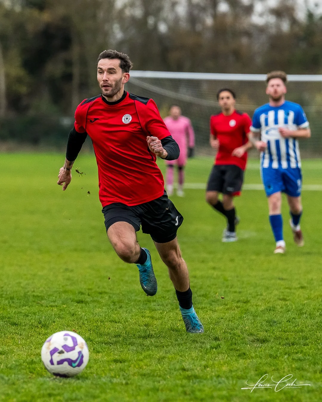  009 DSC_0252 251116.jpg