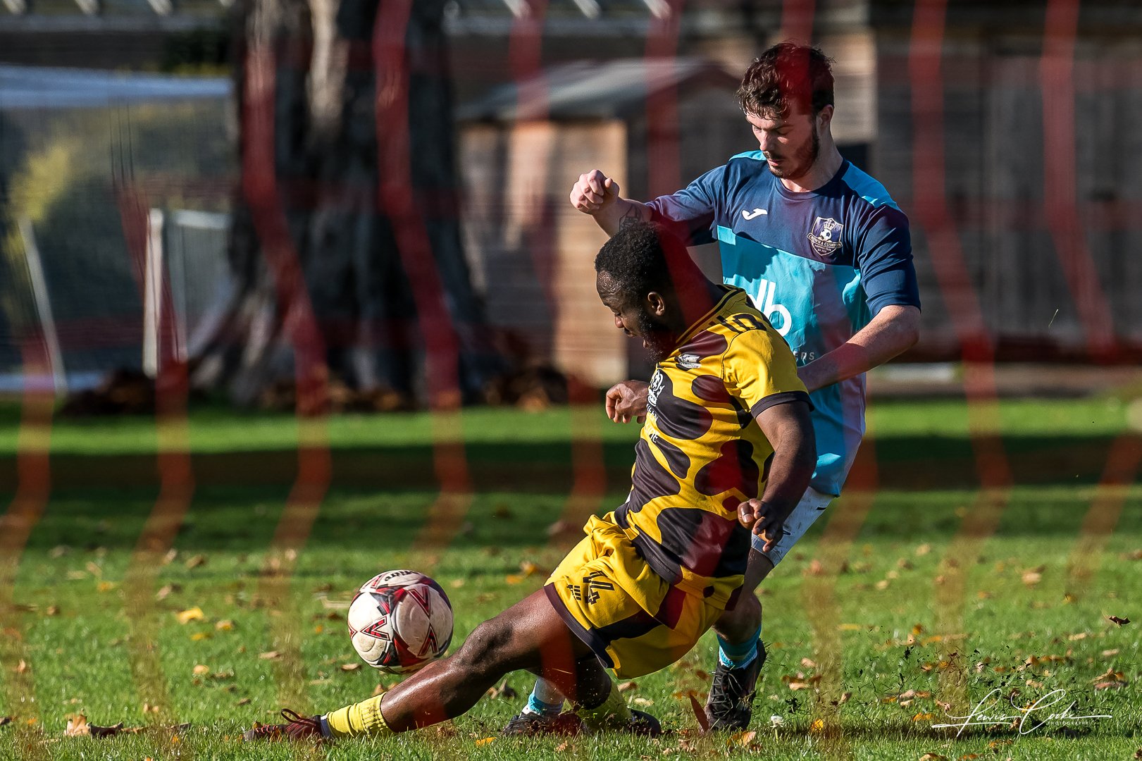  069 DSC_8359-2 251102.jpg